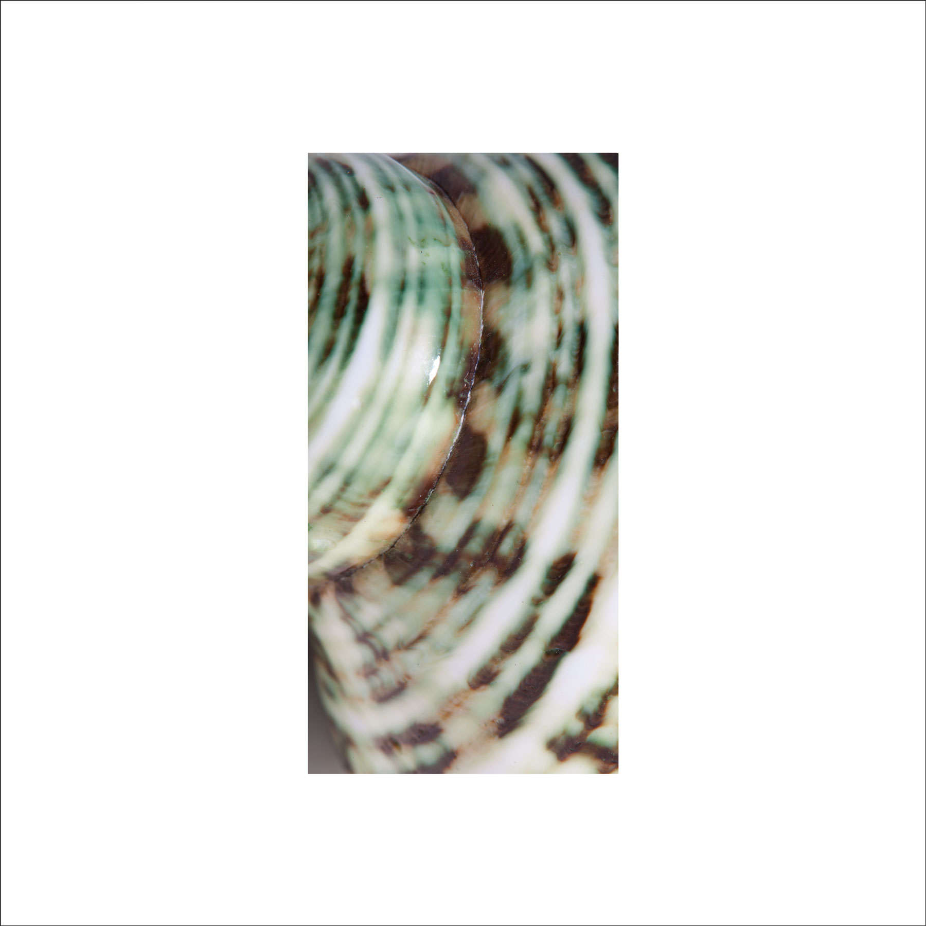 AL02681