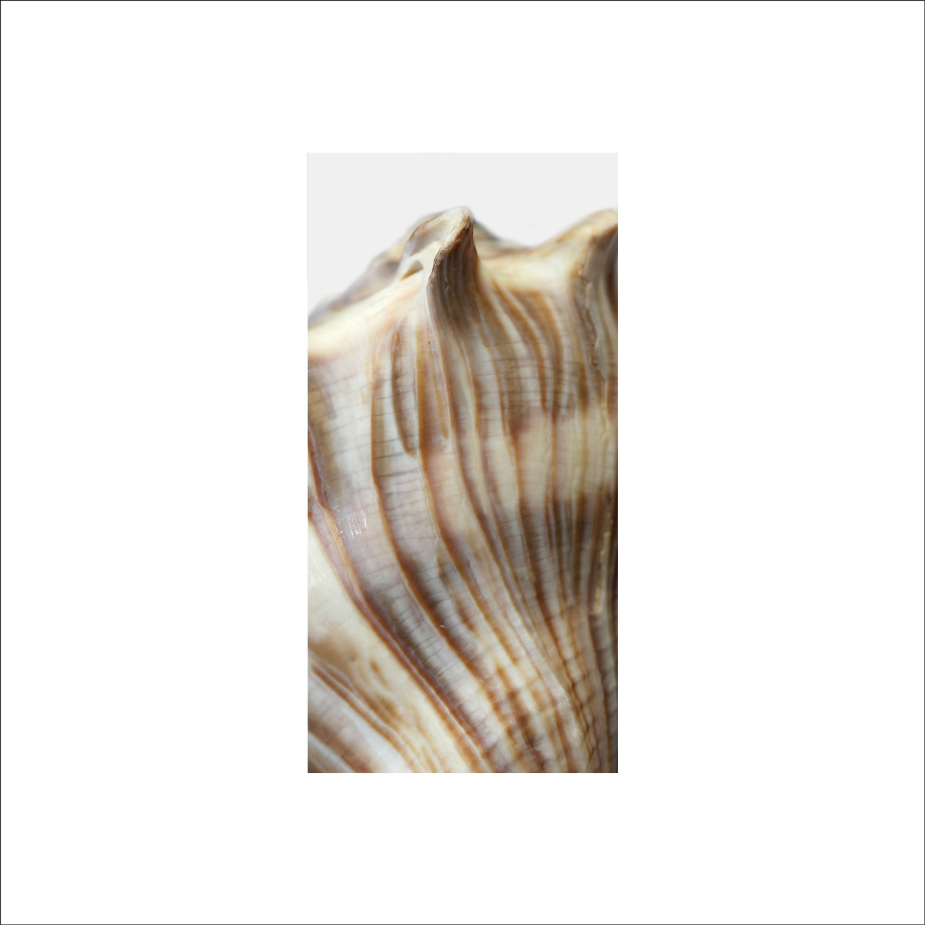 AL02684