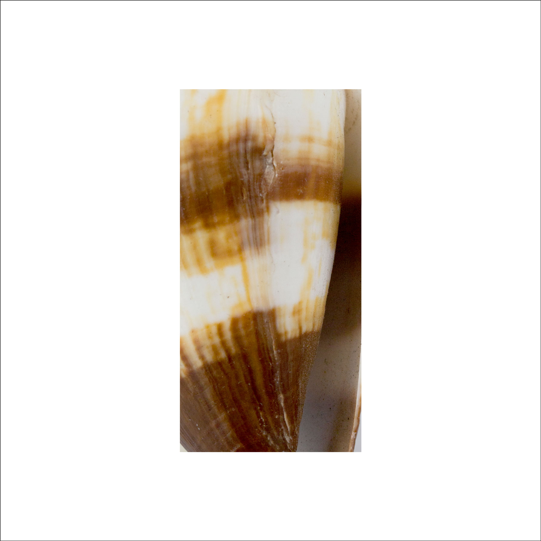 AL02689