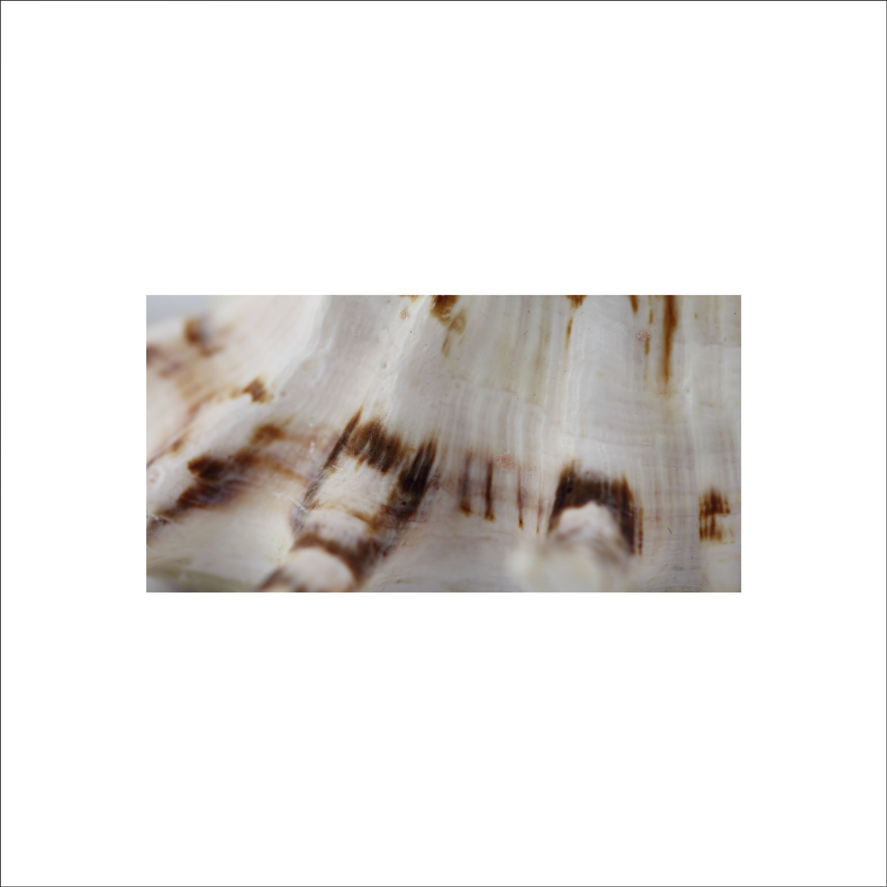 AL02690