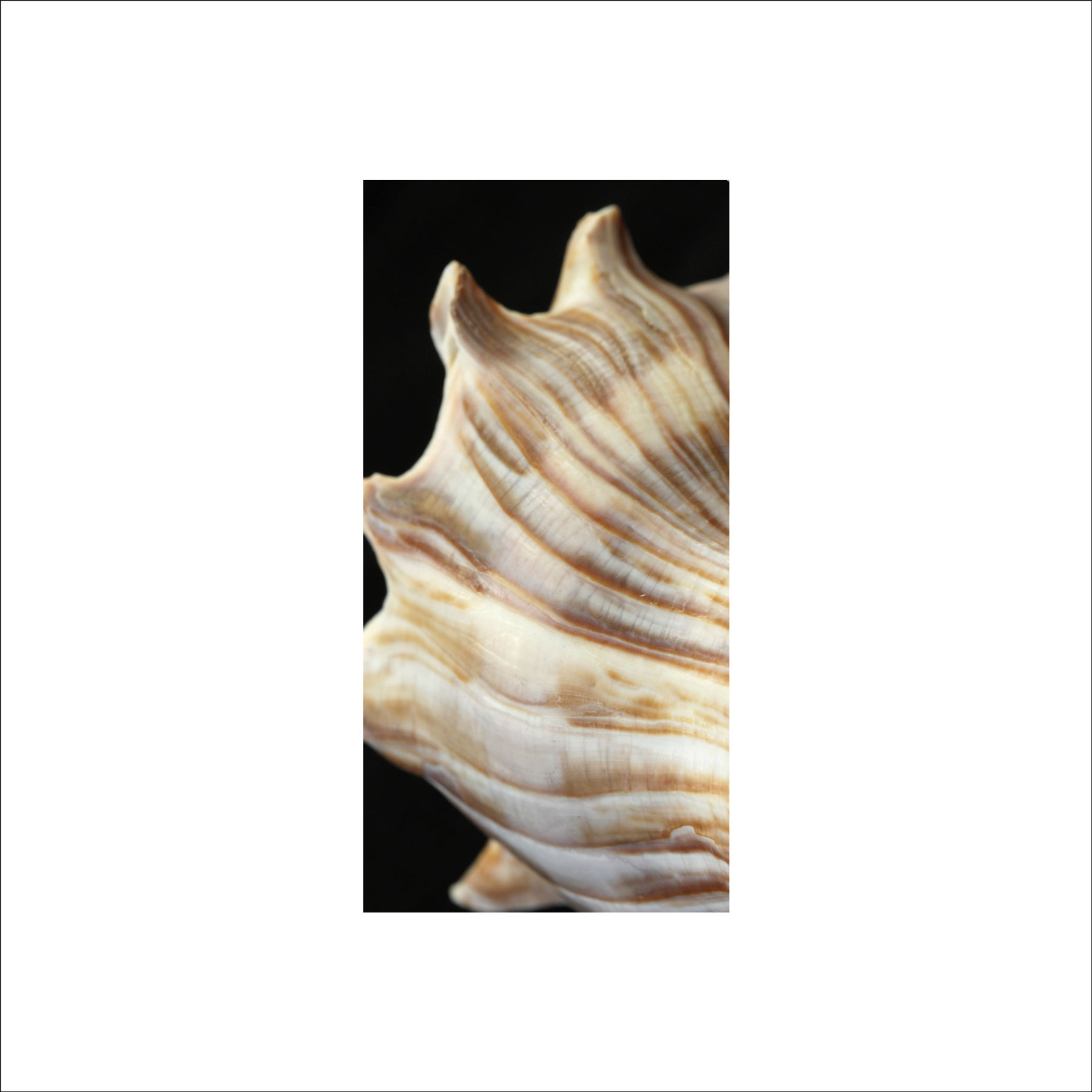 AL02693