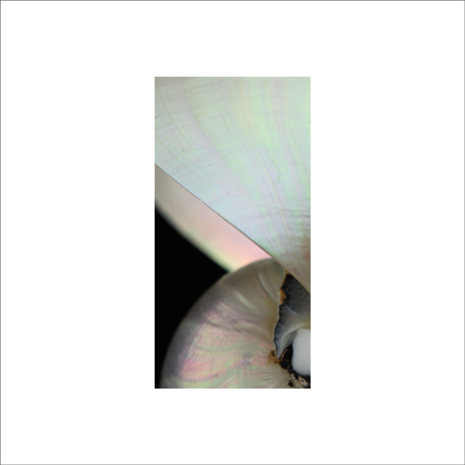 AL02695