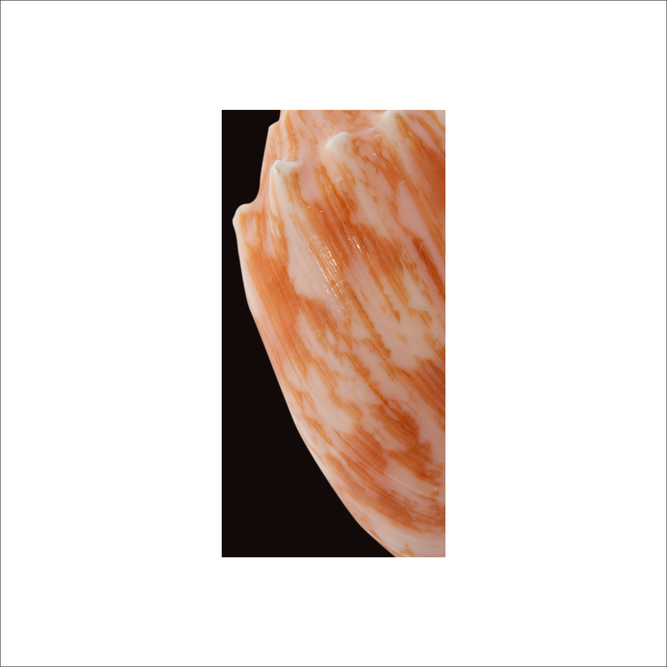 AL02696