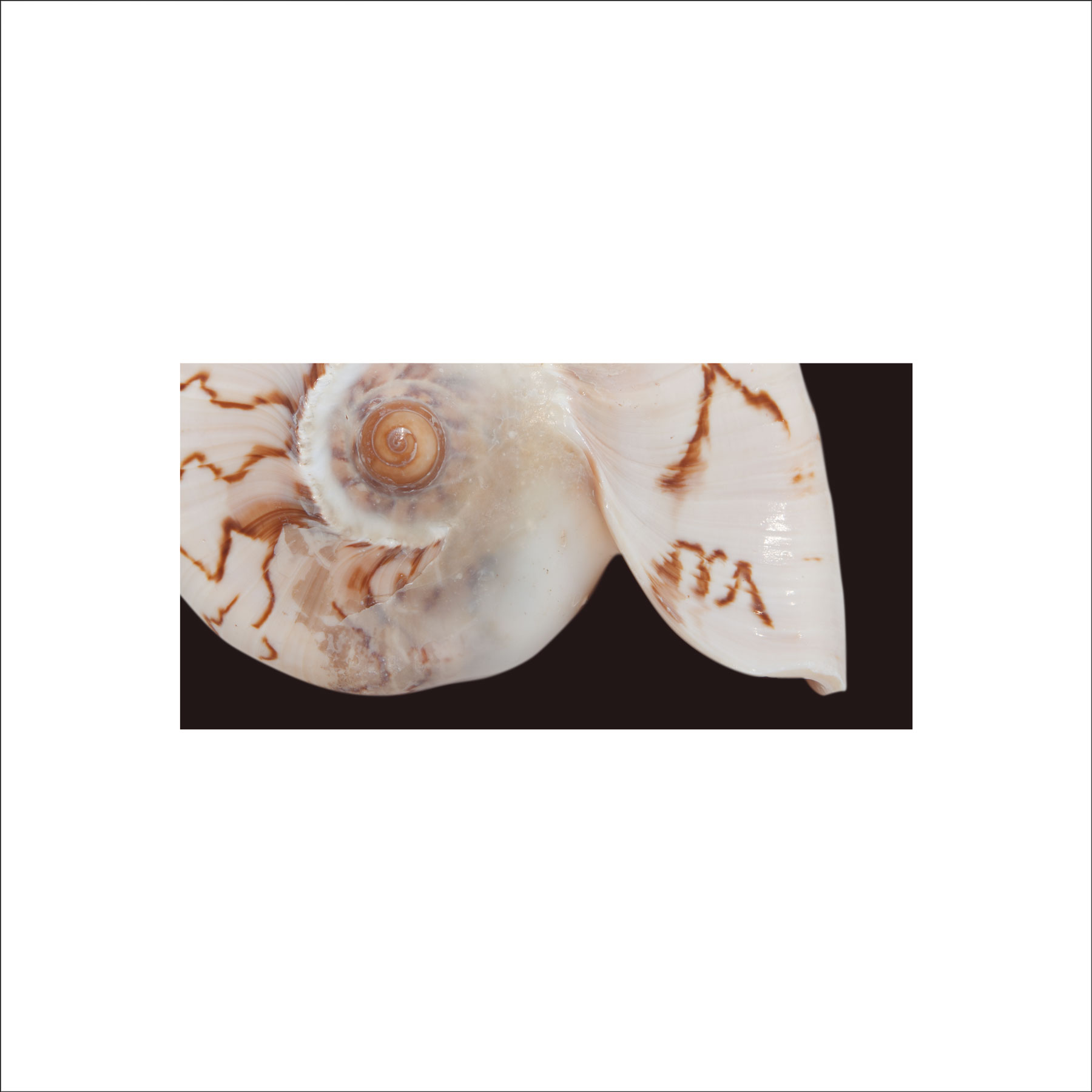 AL02697