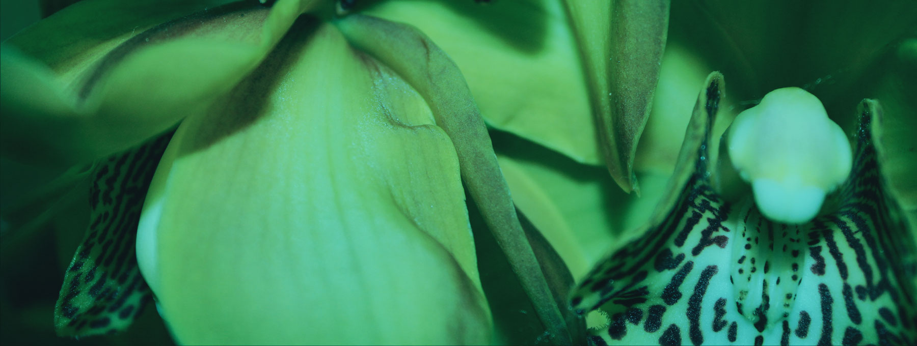 AL02710