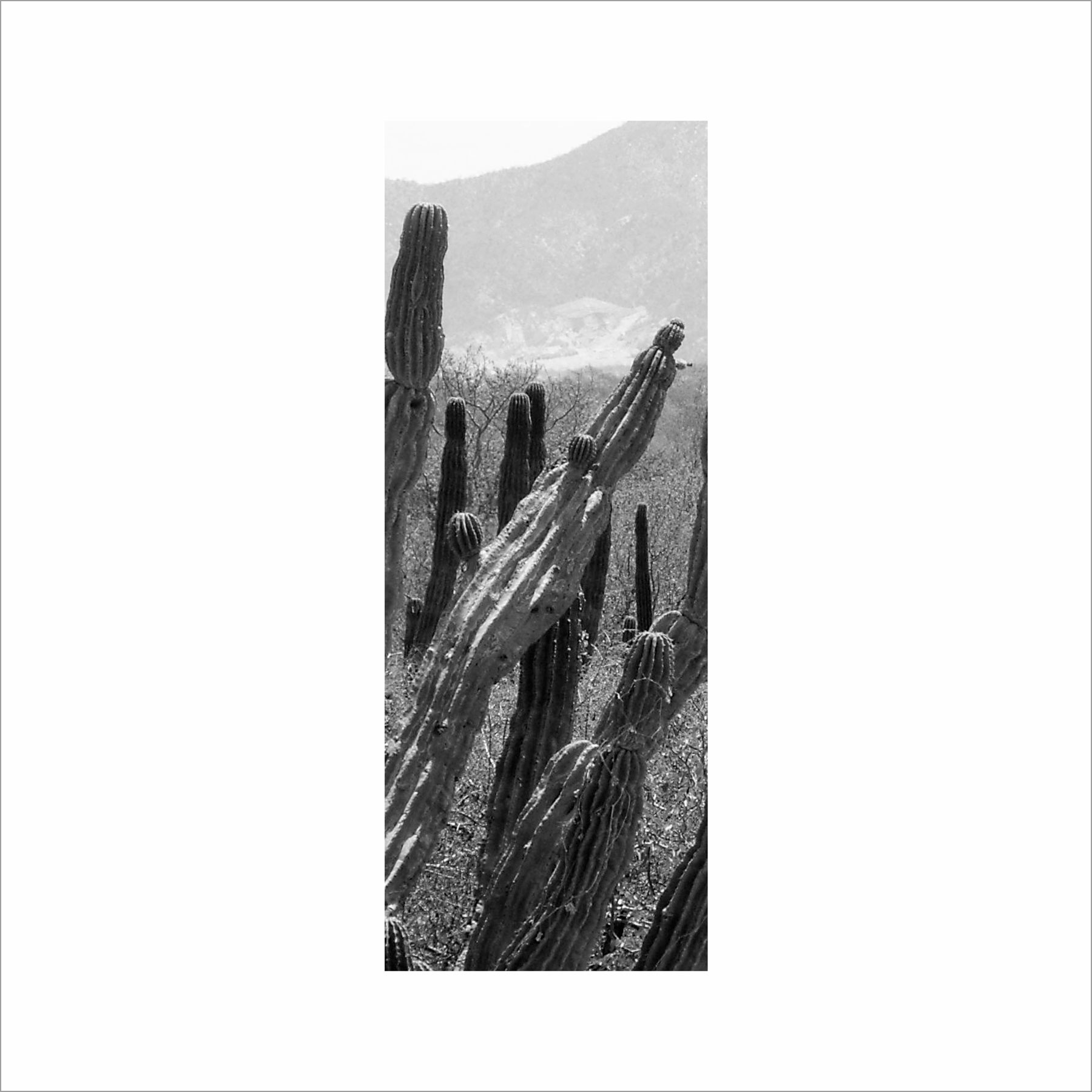 AL02814_BW