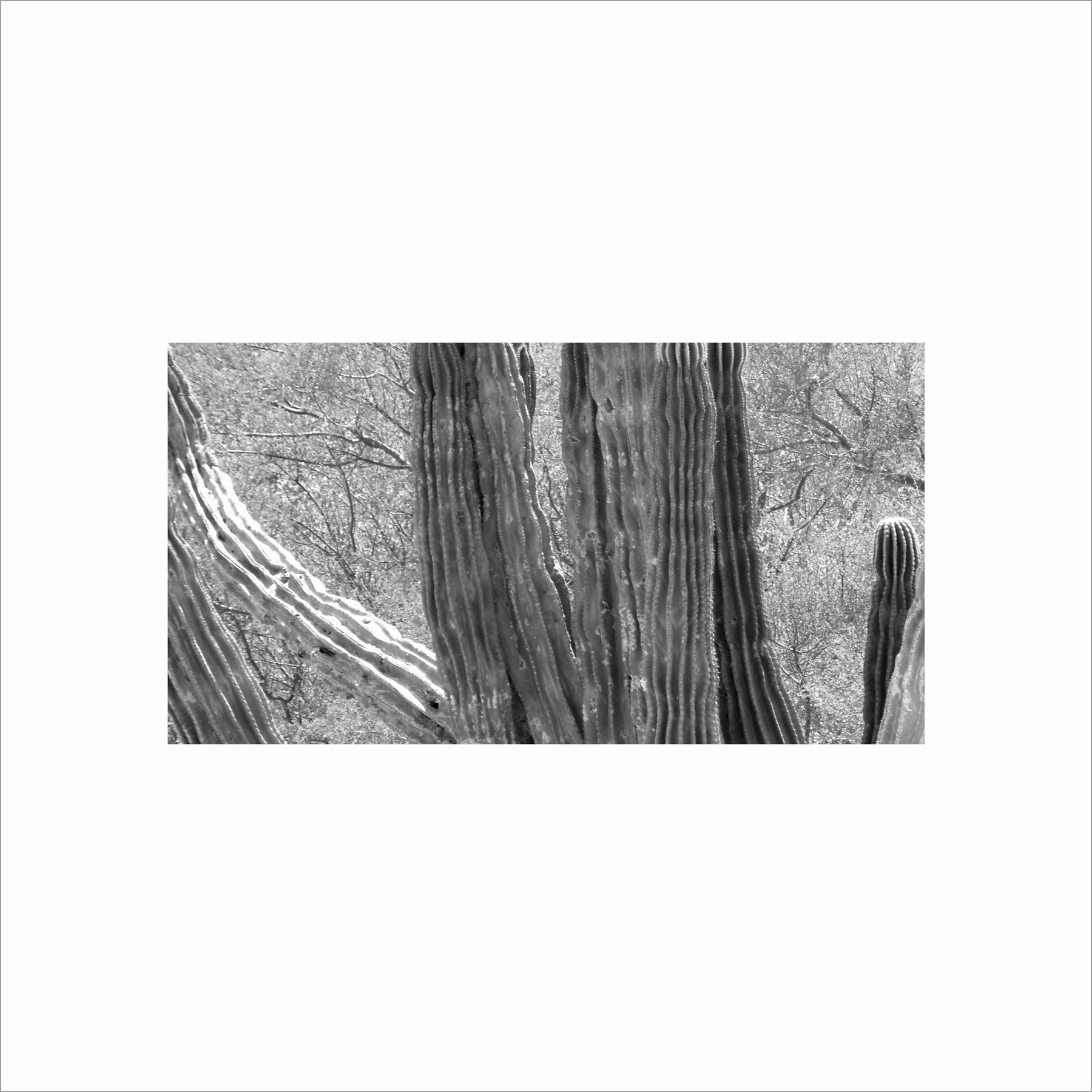 AL02815_BW