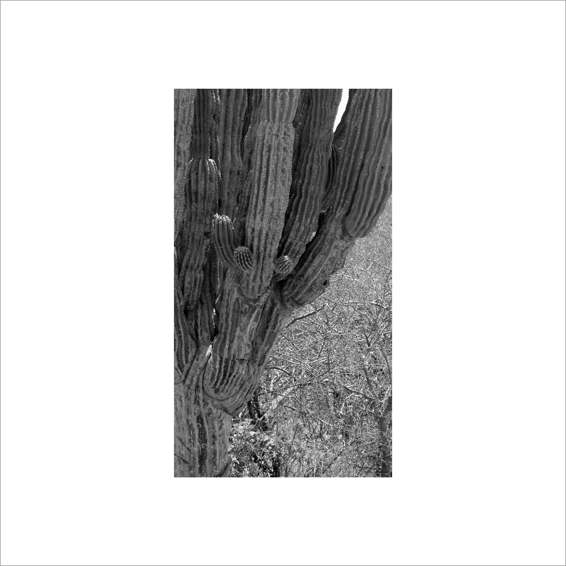 AL02816_BW
