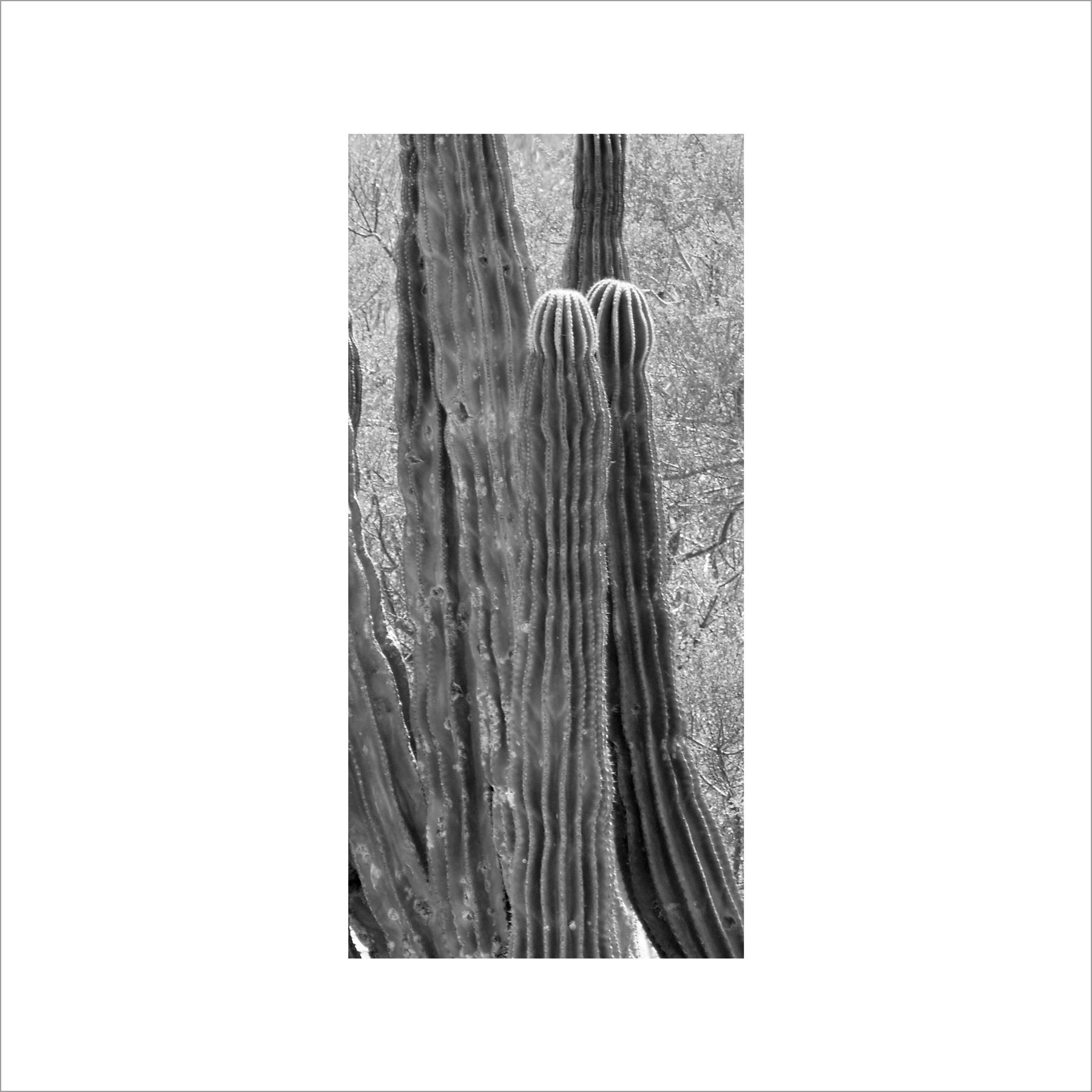 AL02817_BW