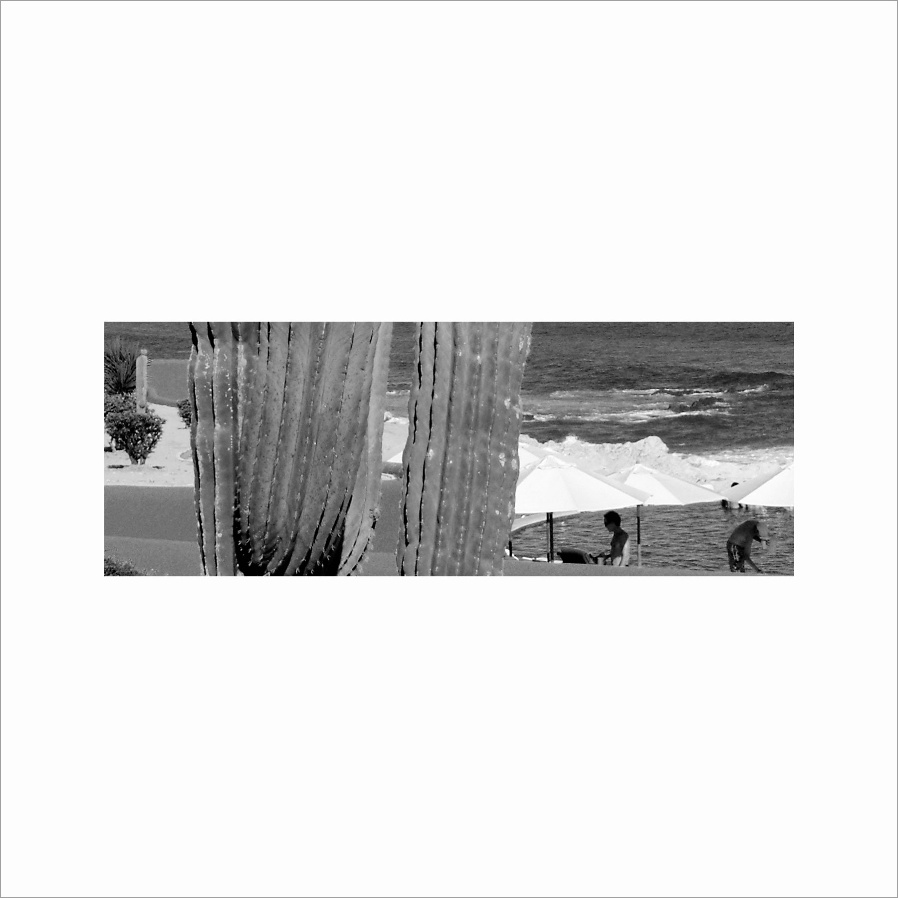 AL02818_BW