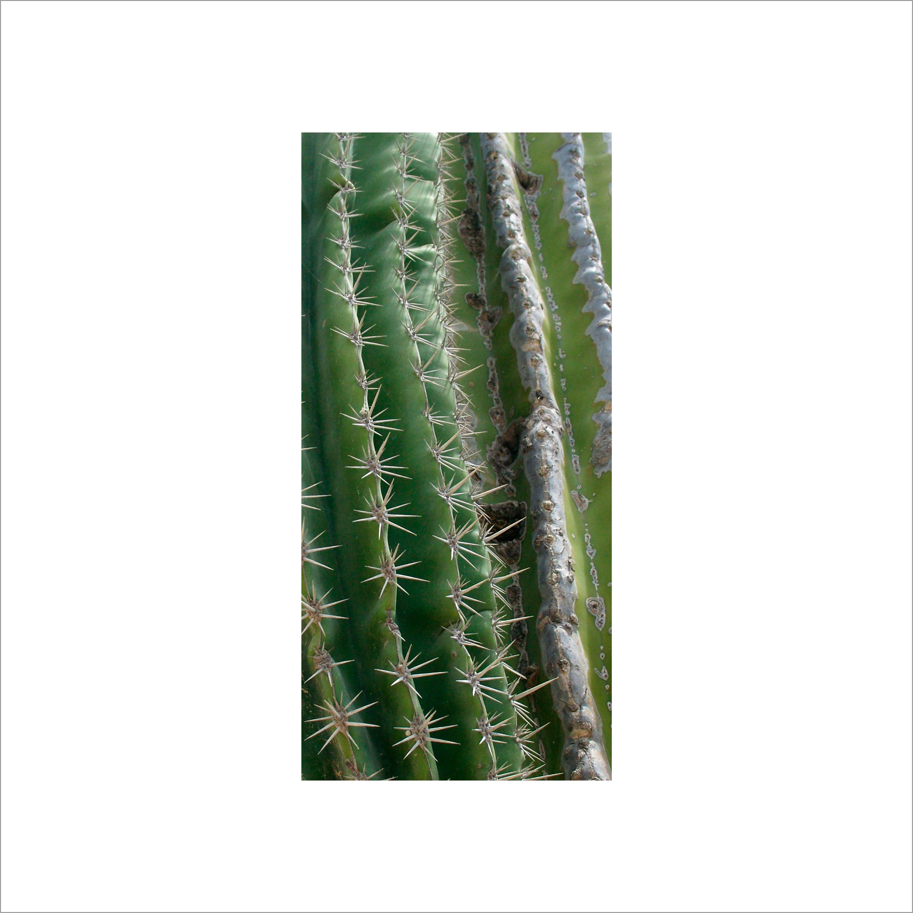 AL02819