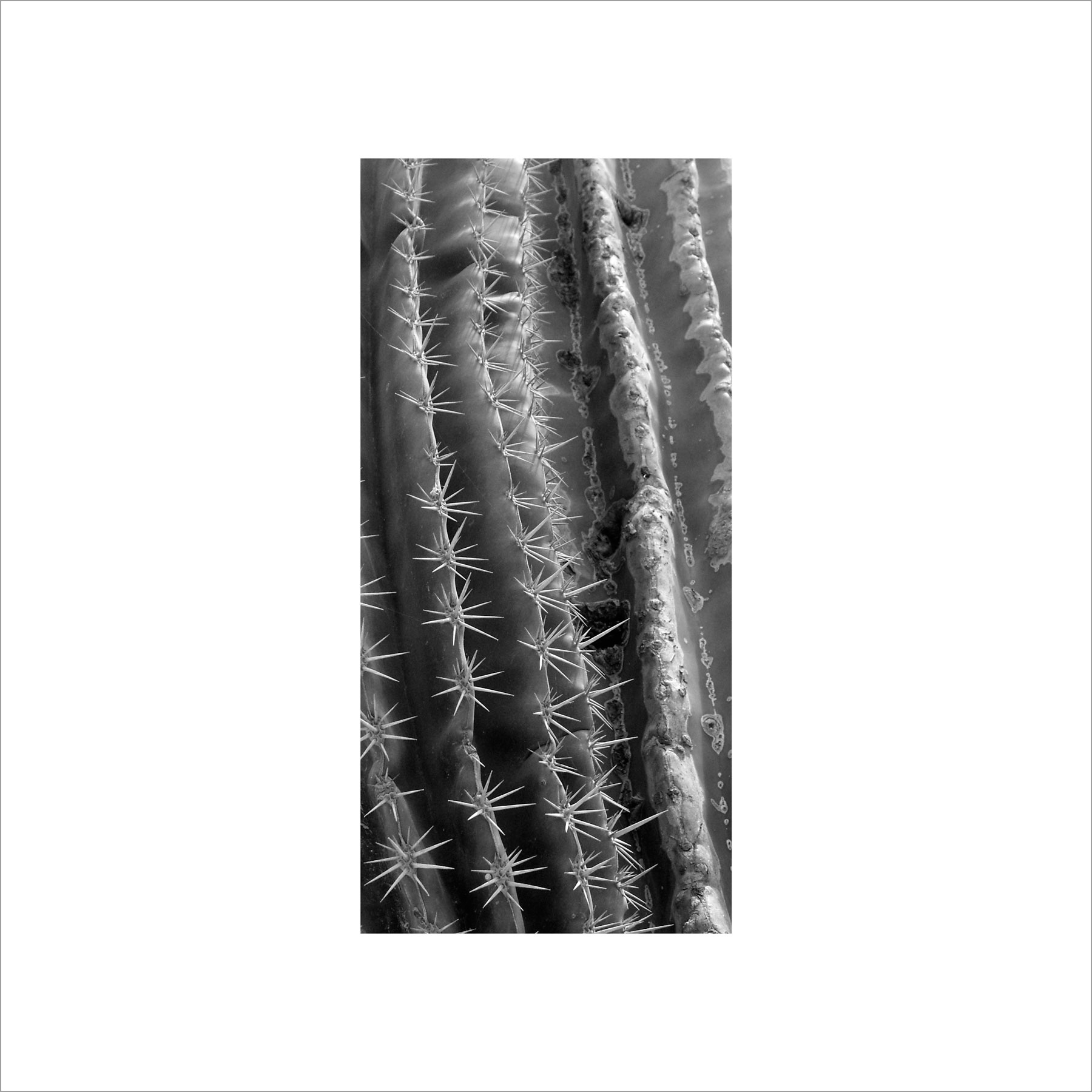 AL02819_BW