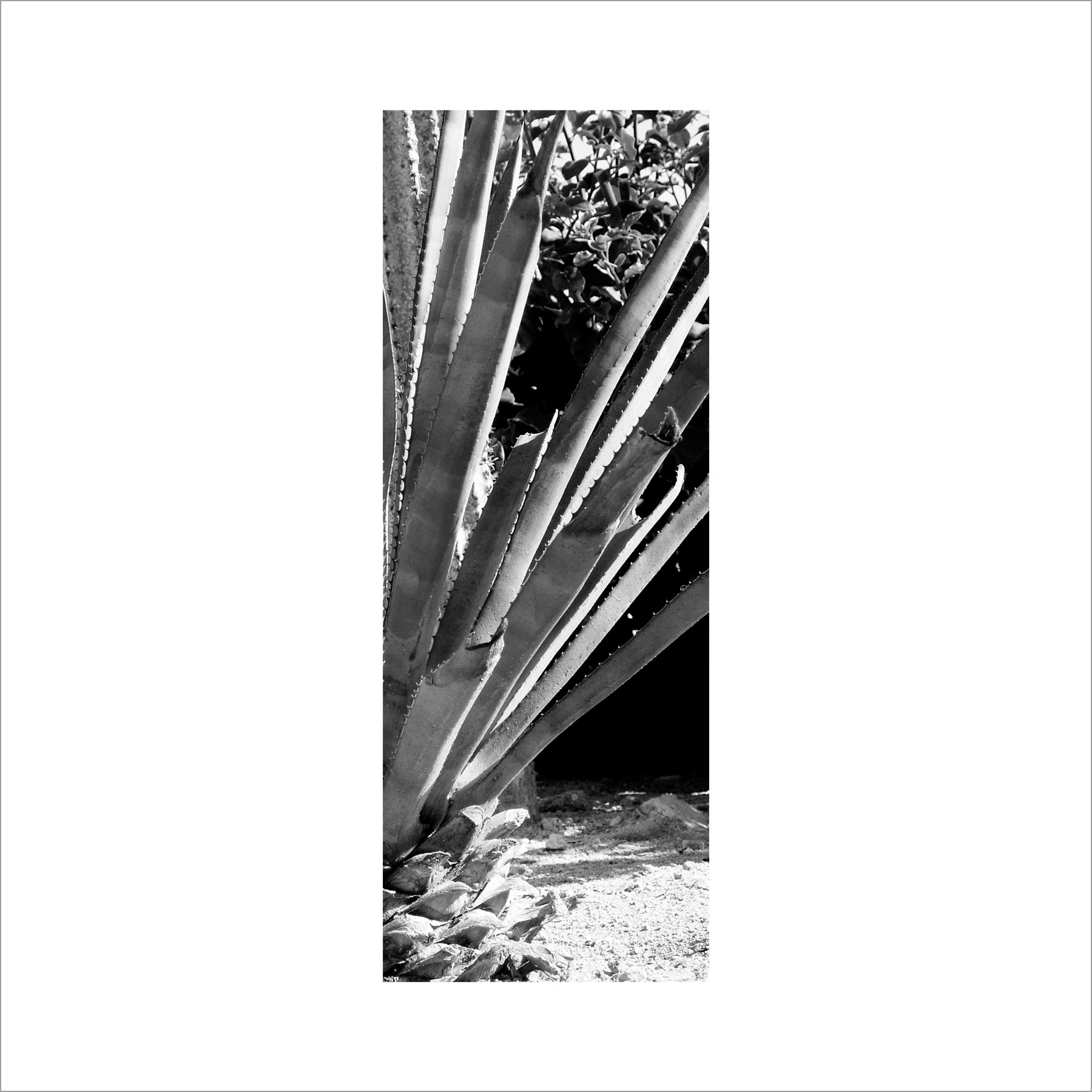 AL02820_BW