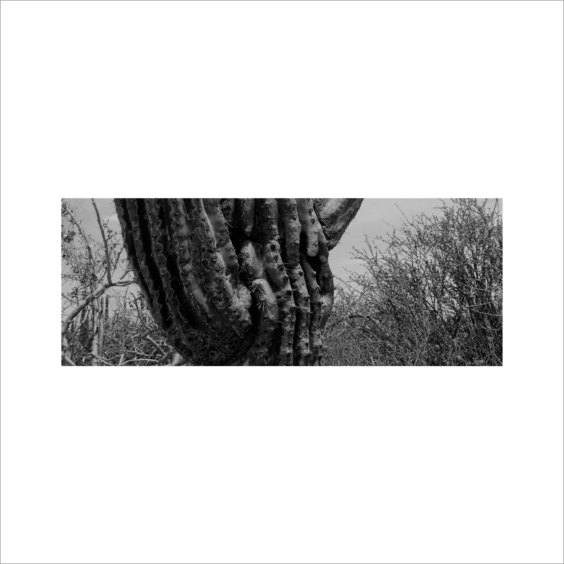 AL02821_BW