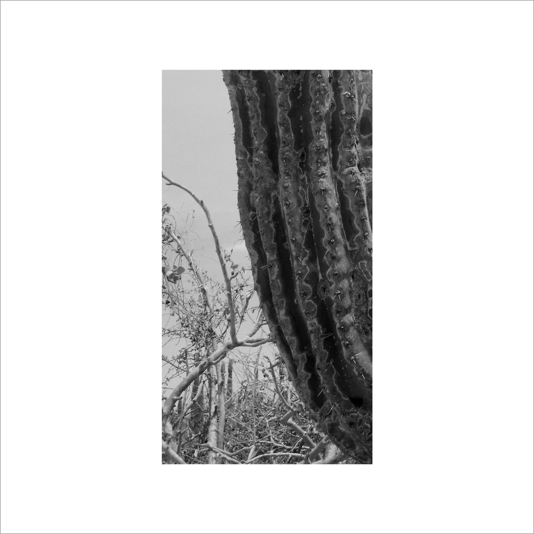 AL02822_BW