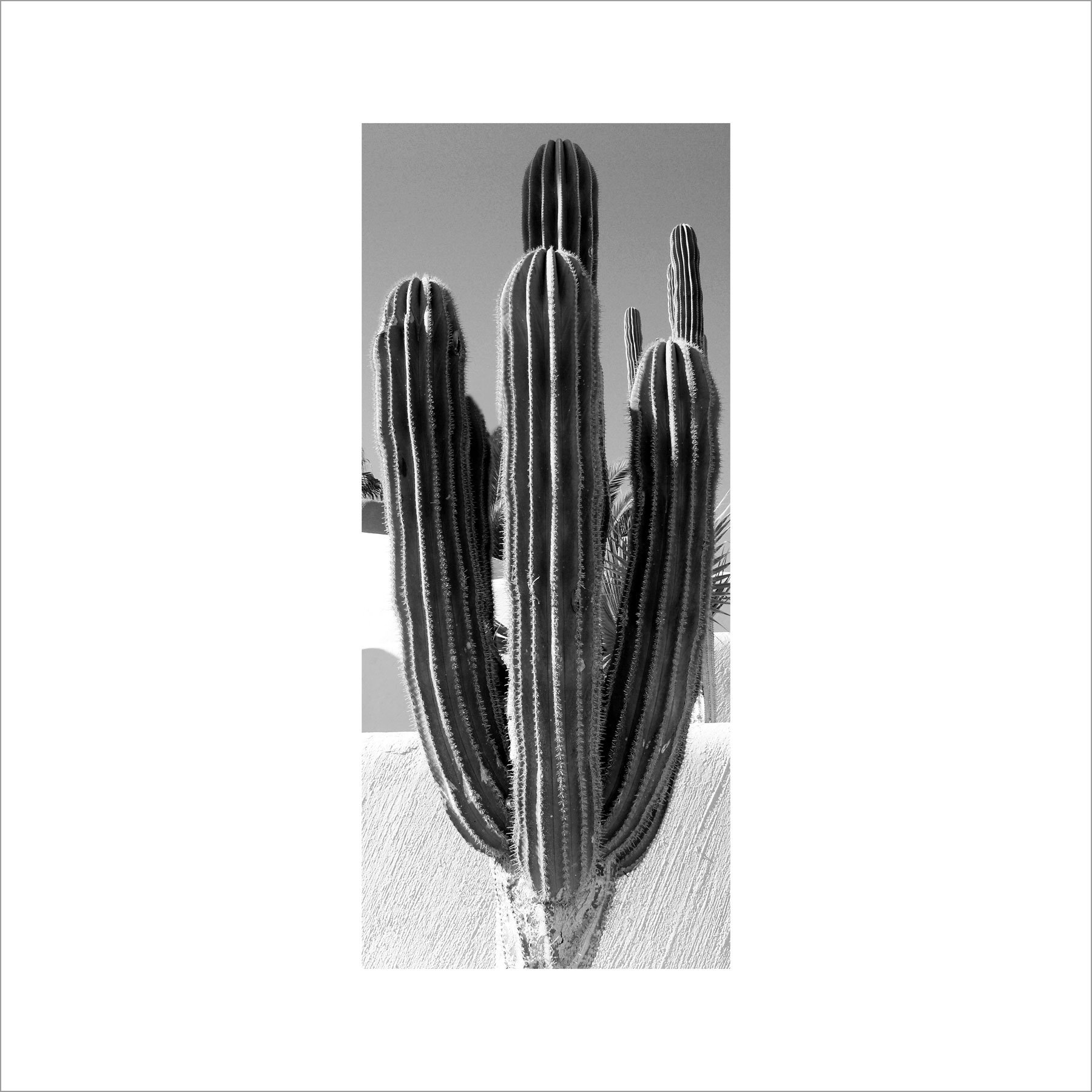 AL02823_BW