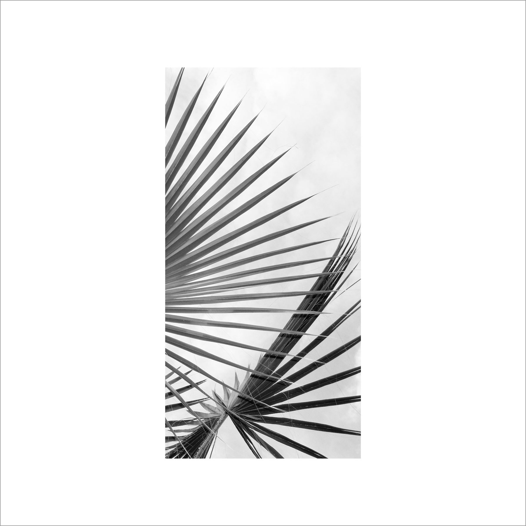 AL02824_BW