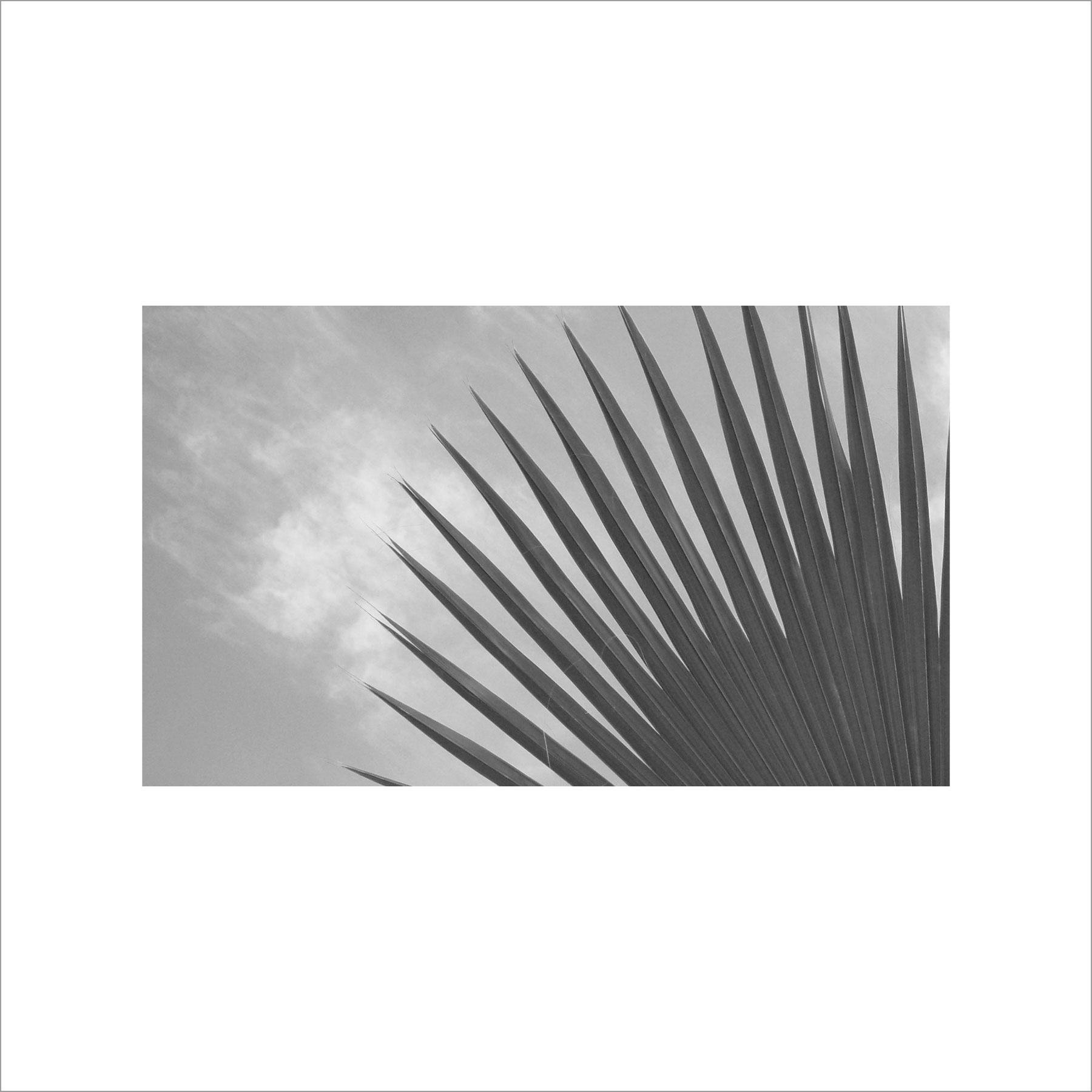 AL02825_BW