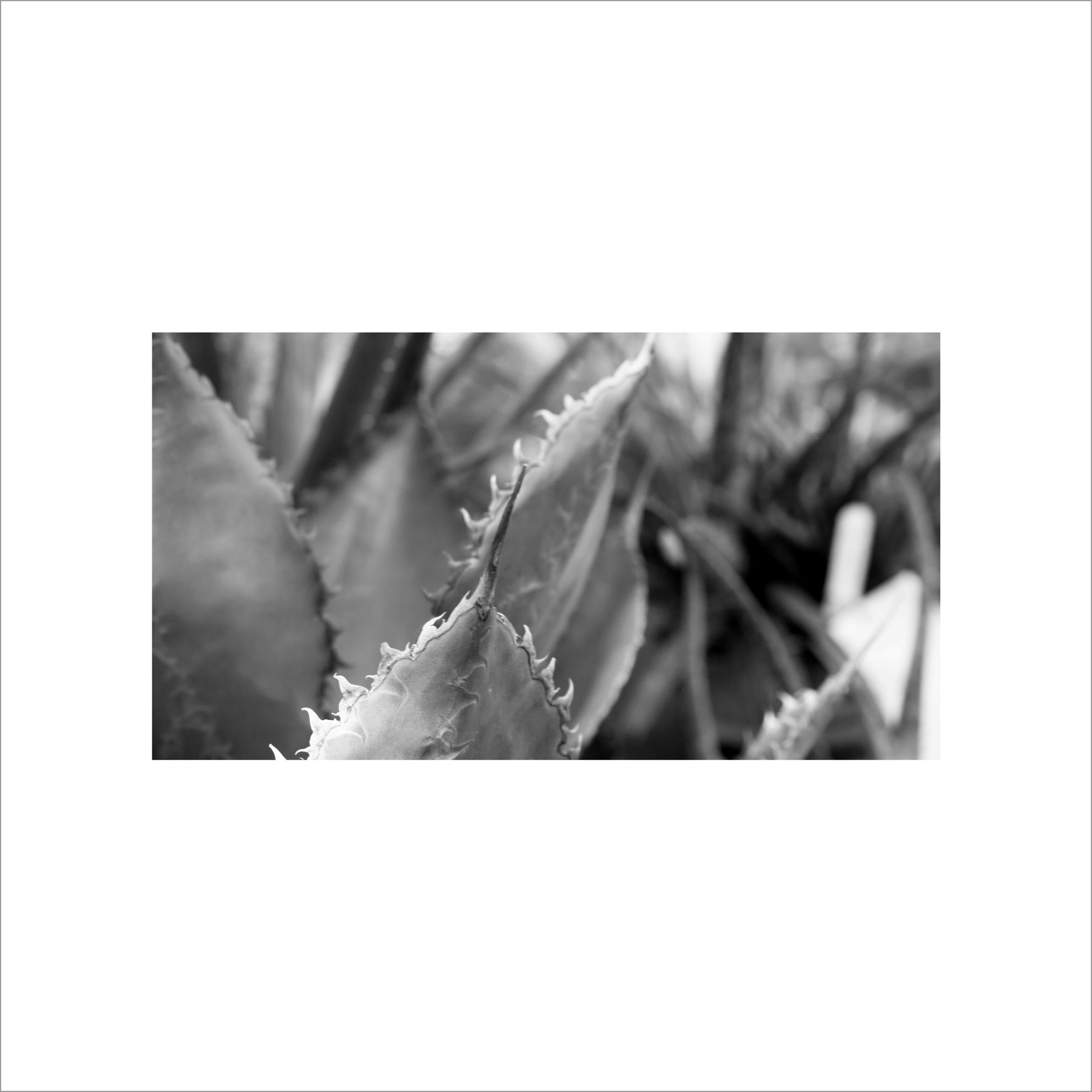 AL02827_BW