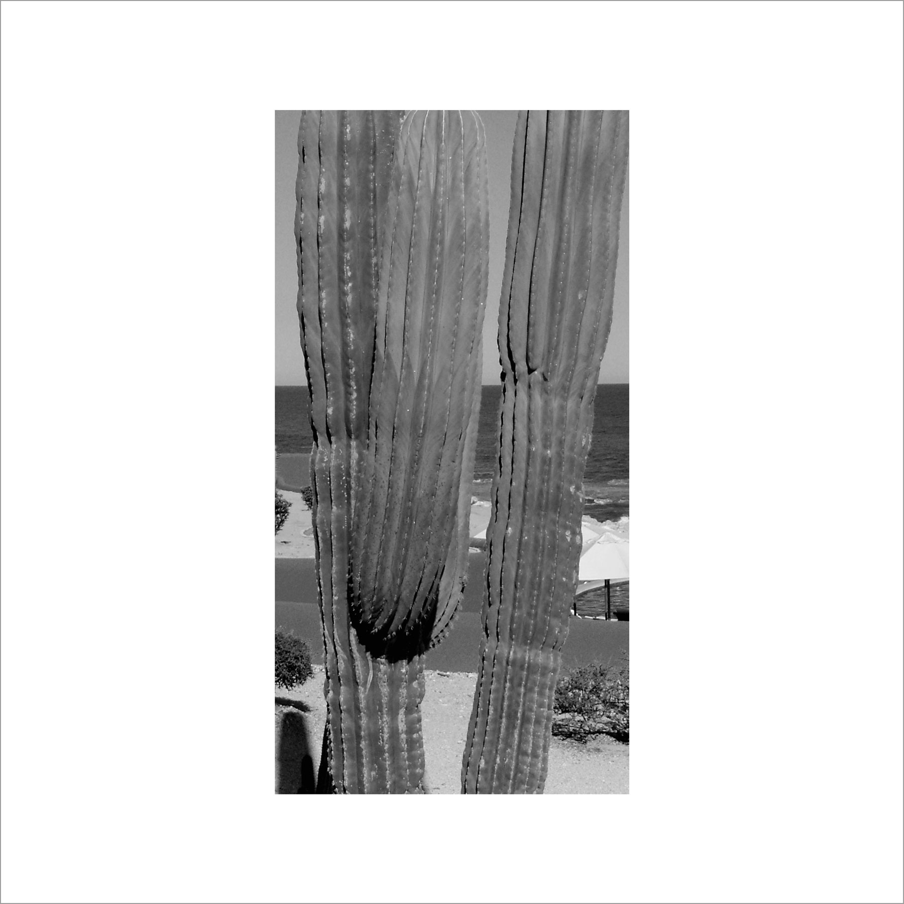 AL02828_BW