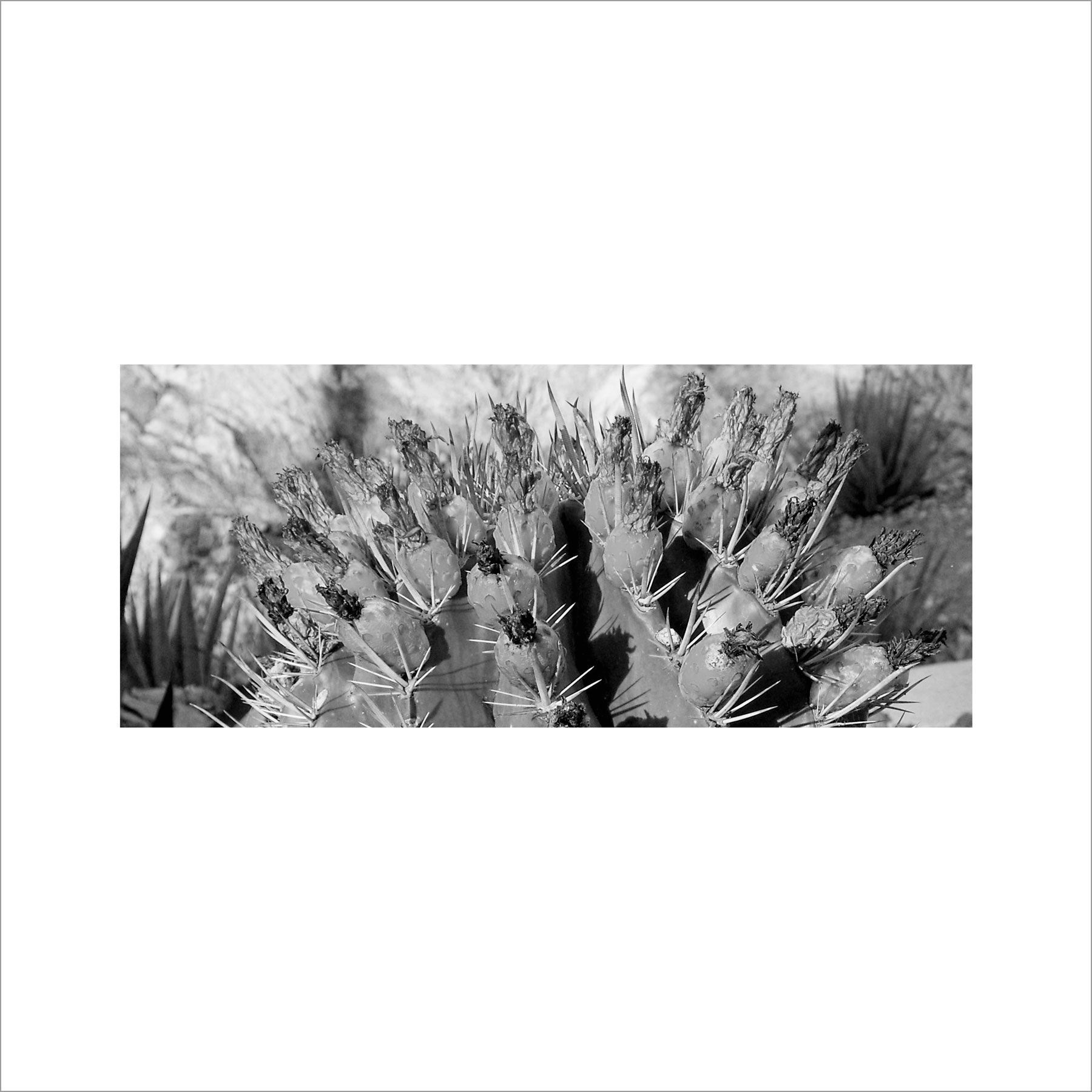 AL02829_BW