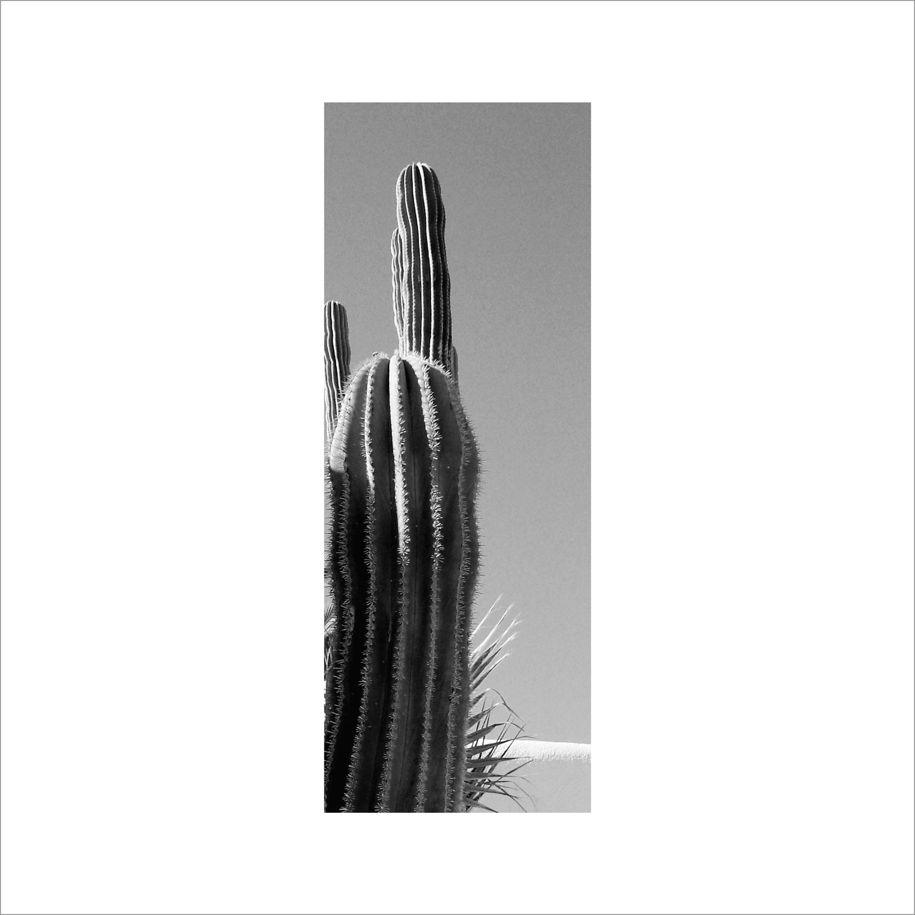 AL02830_BW