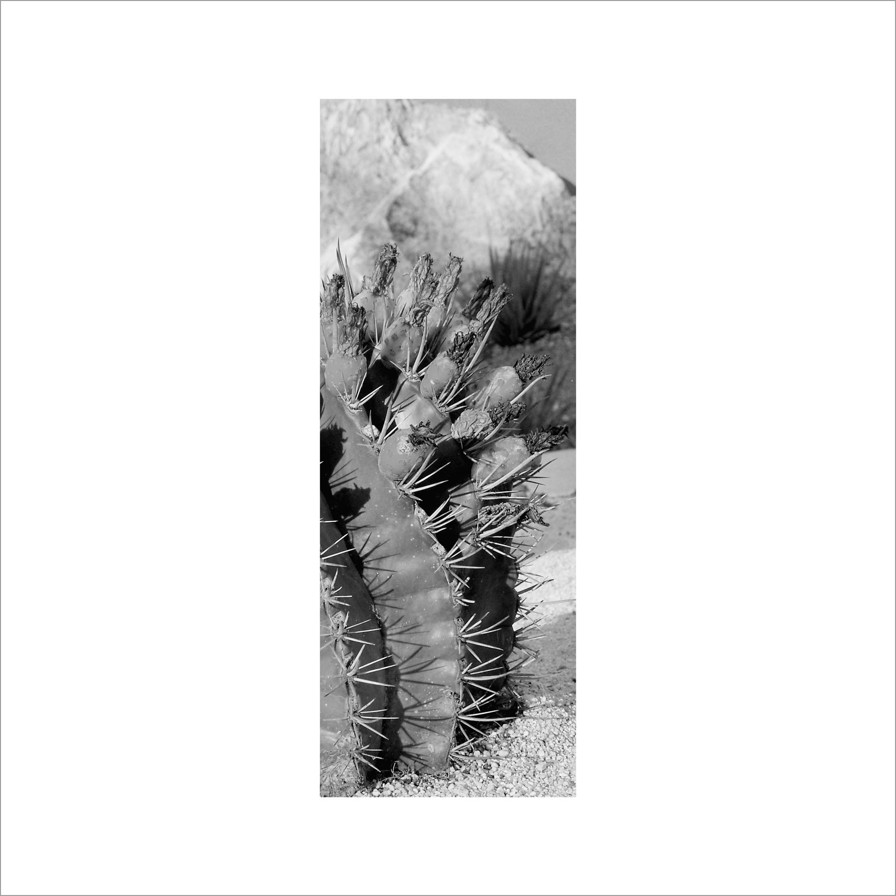 AL02831_BW