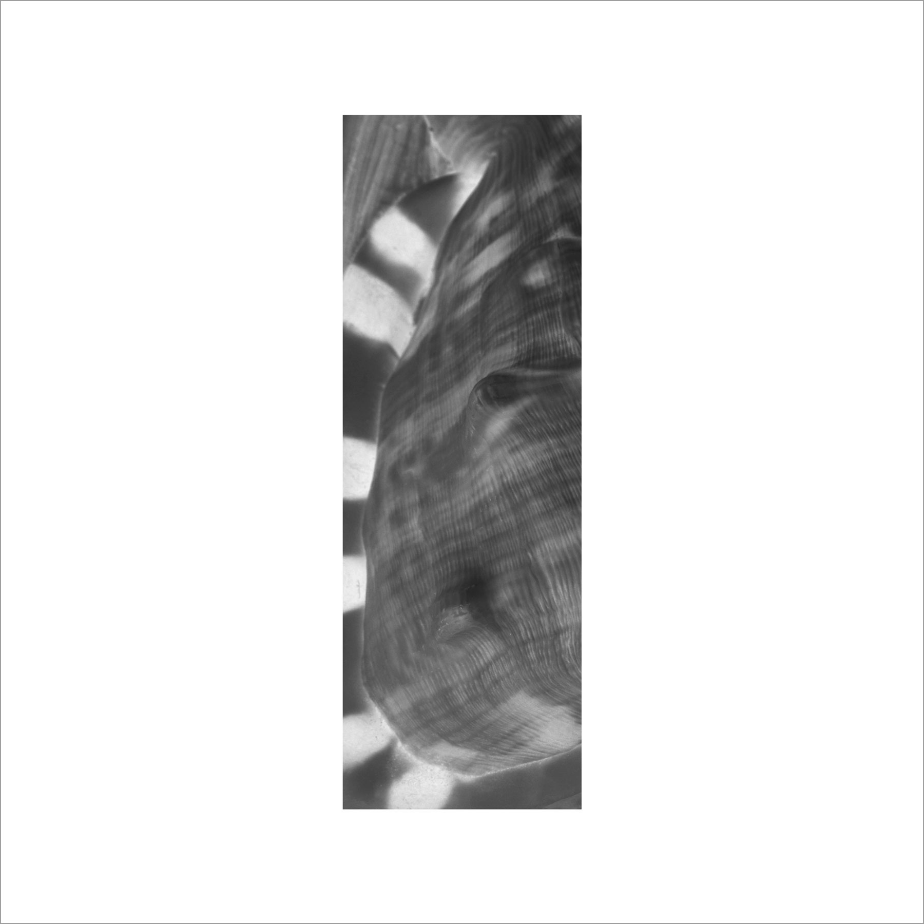 AL02951