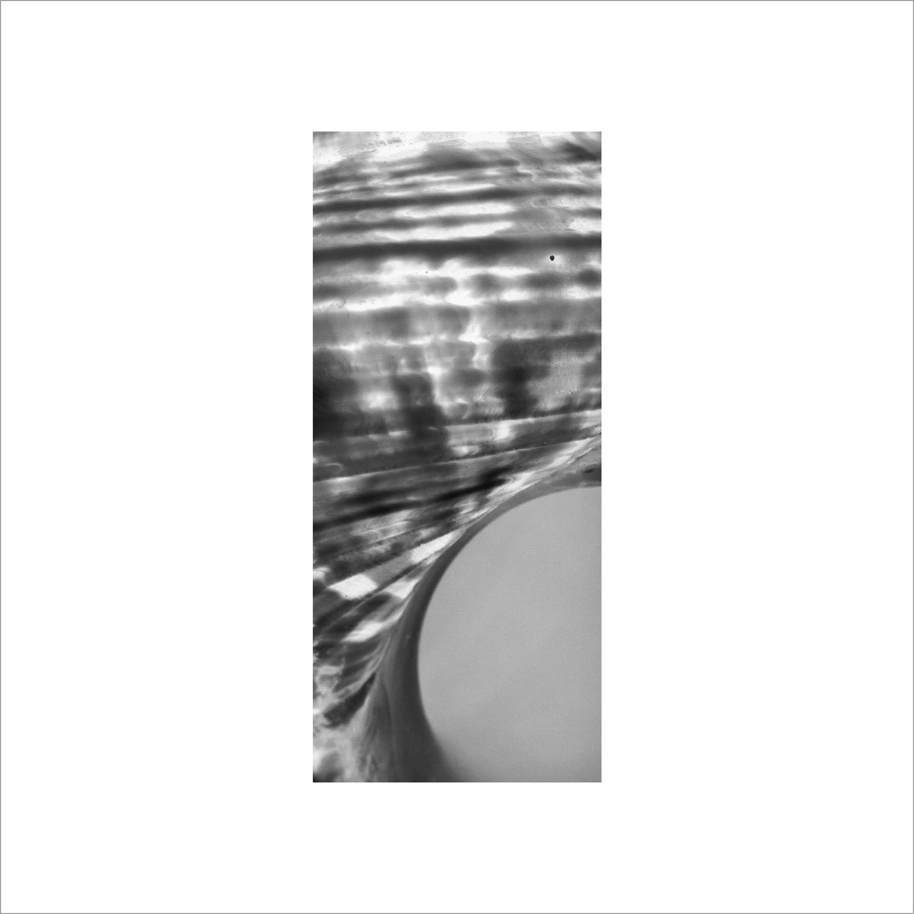 AL02954