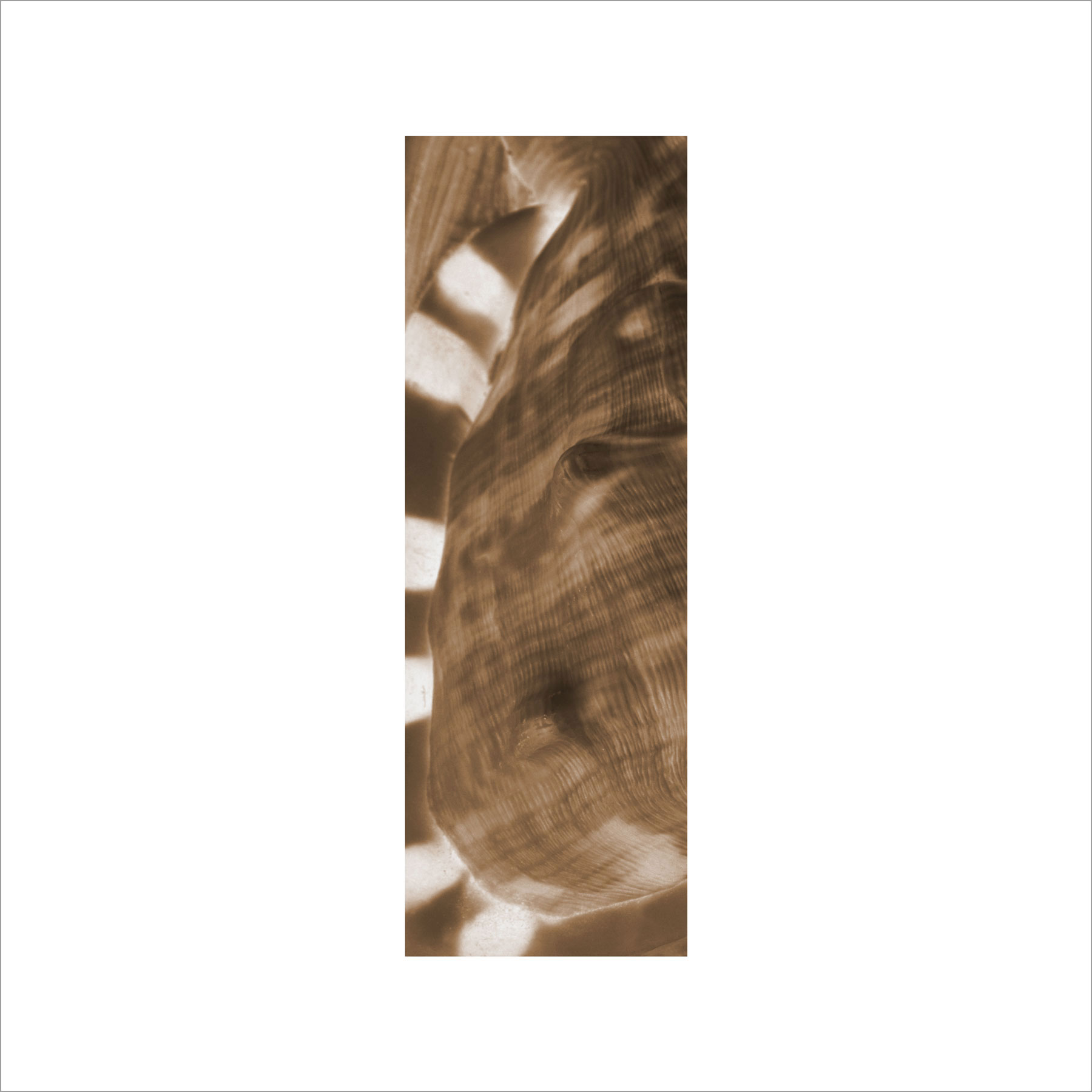 AL02960