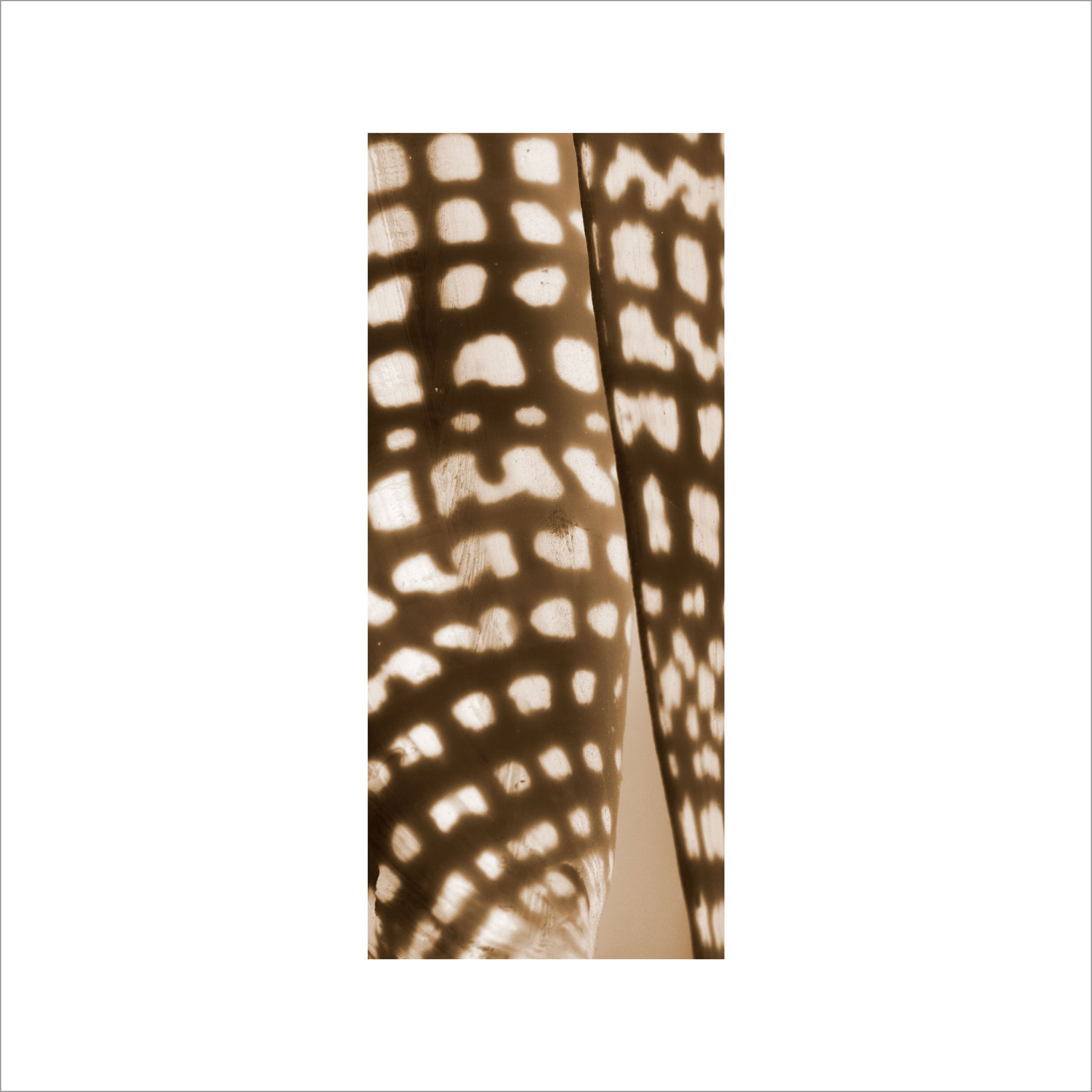 AL02964