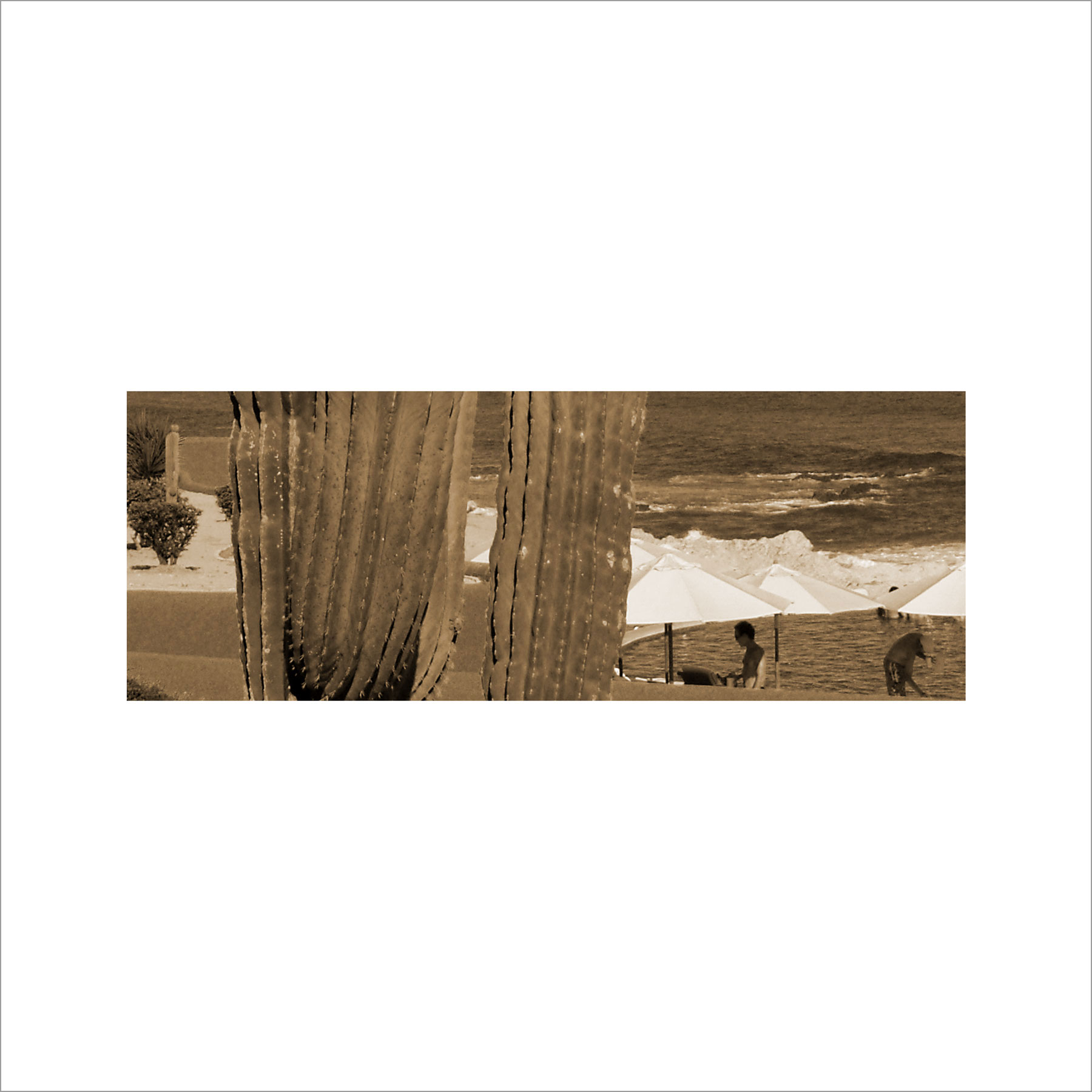 AL02995