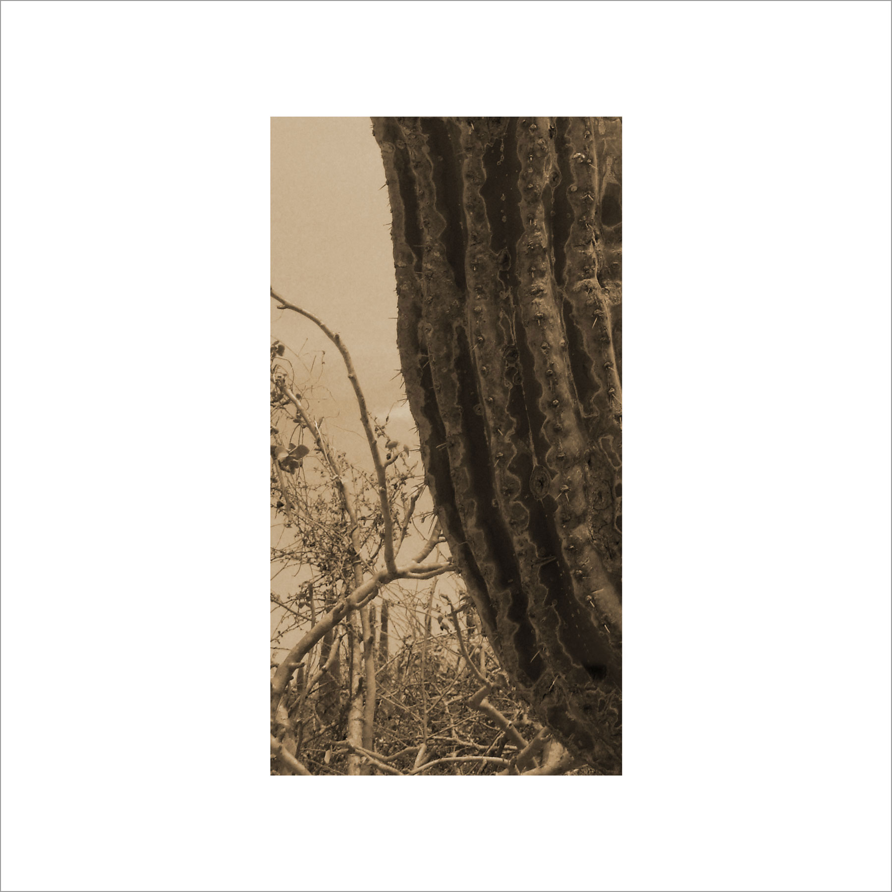 AL02997
