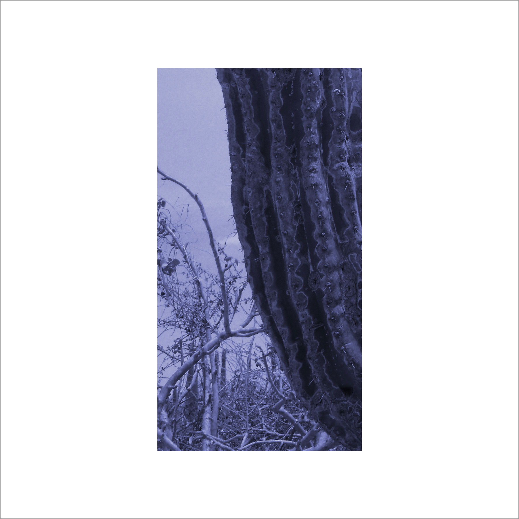AL03015