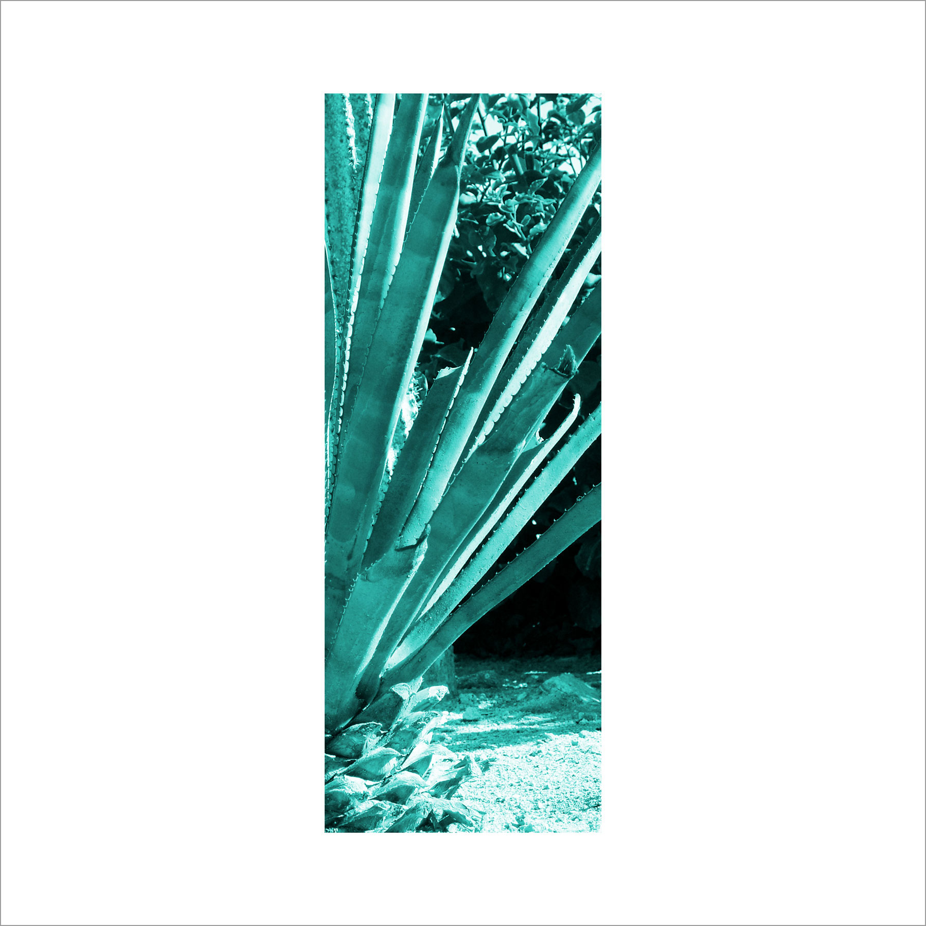 AL03016
