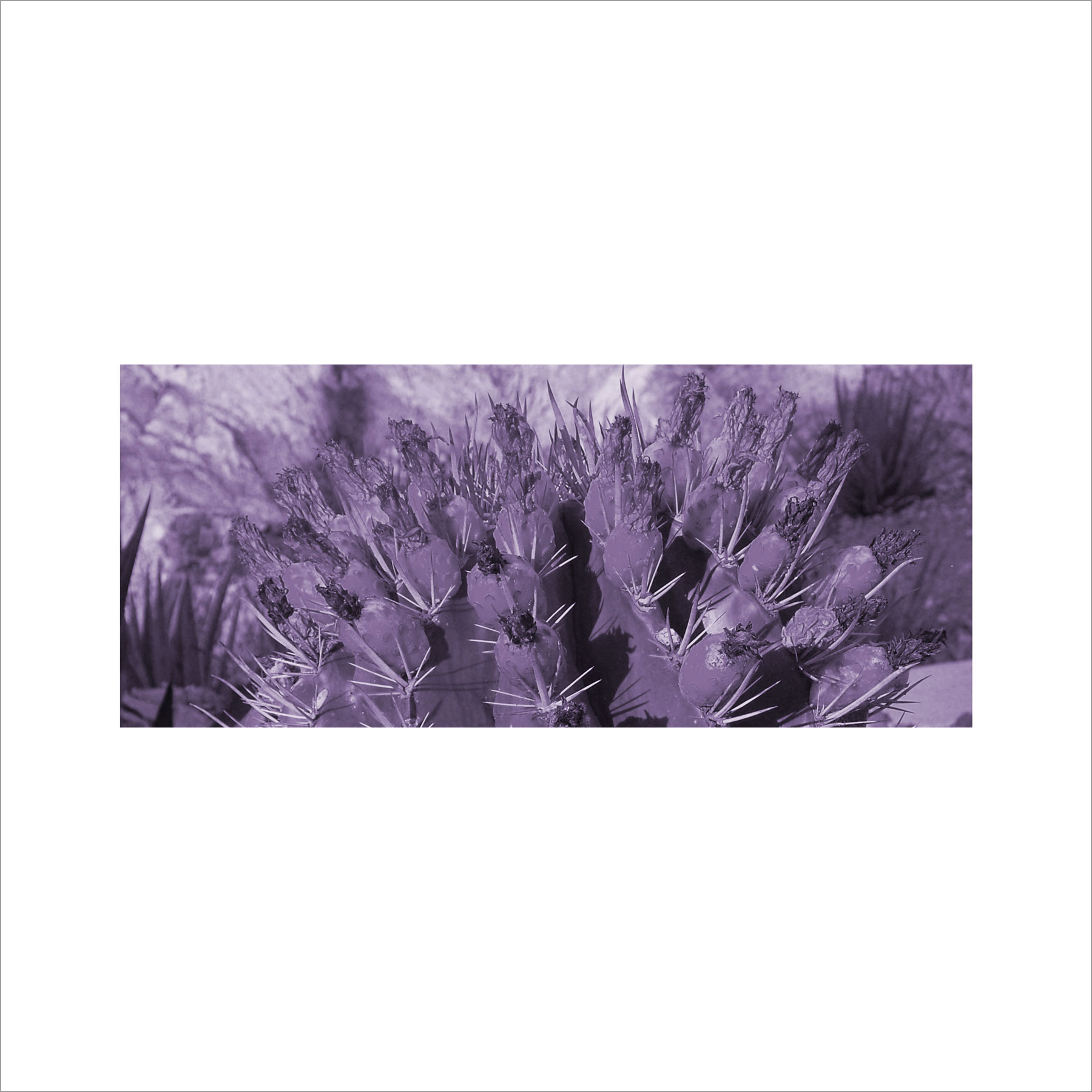 AL03019