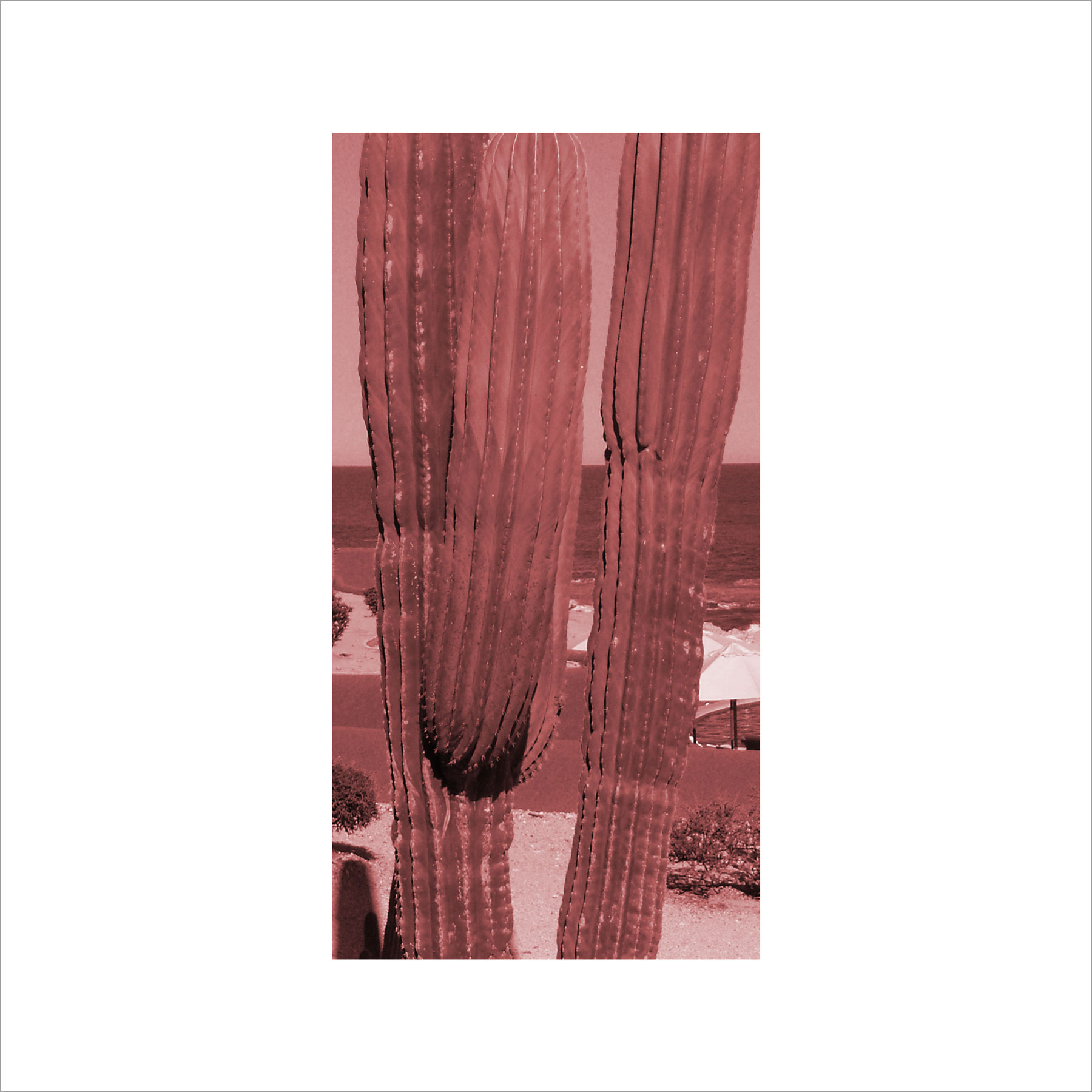 AL03021