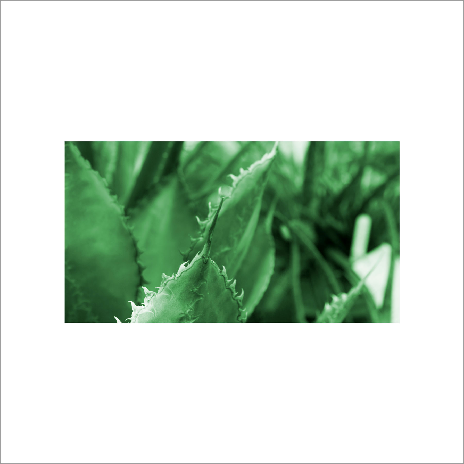 AL03022