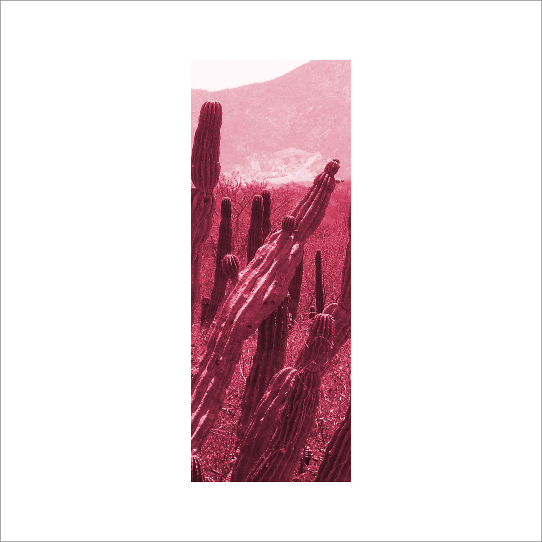 AL03025