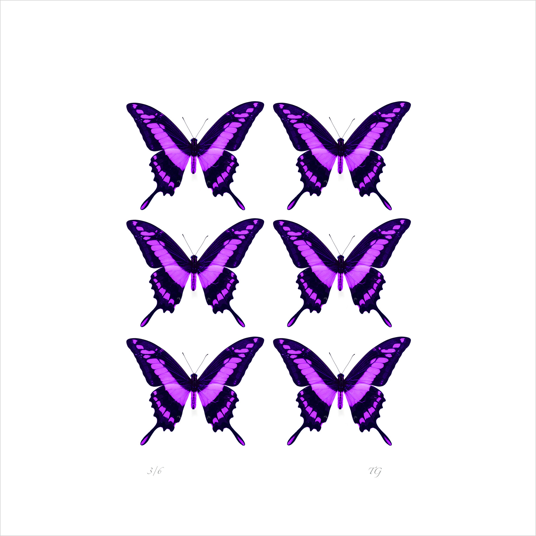 AL01219_SQ