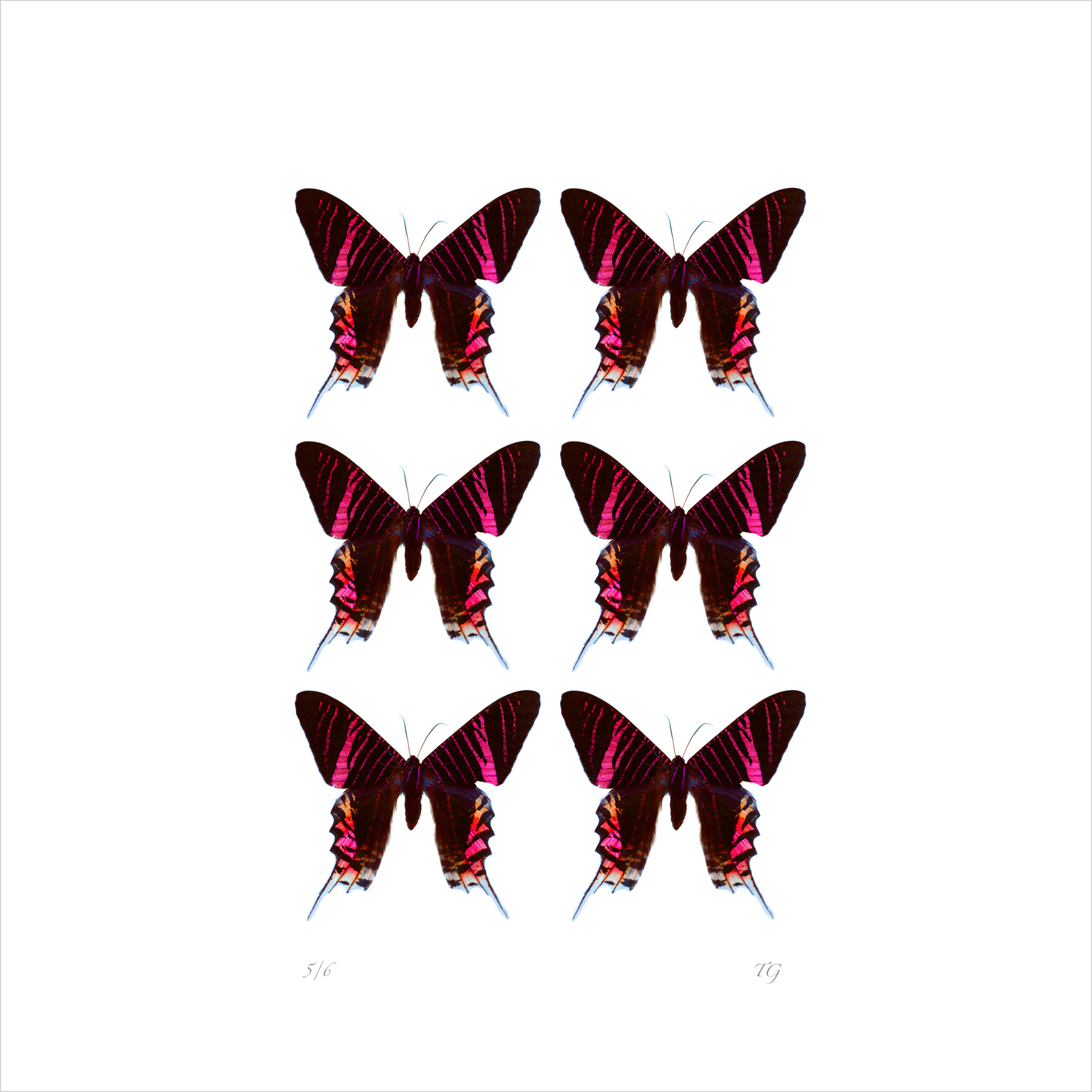 AL01221_SQ