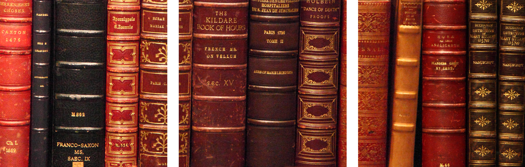 AL01595_3p
