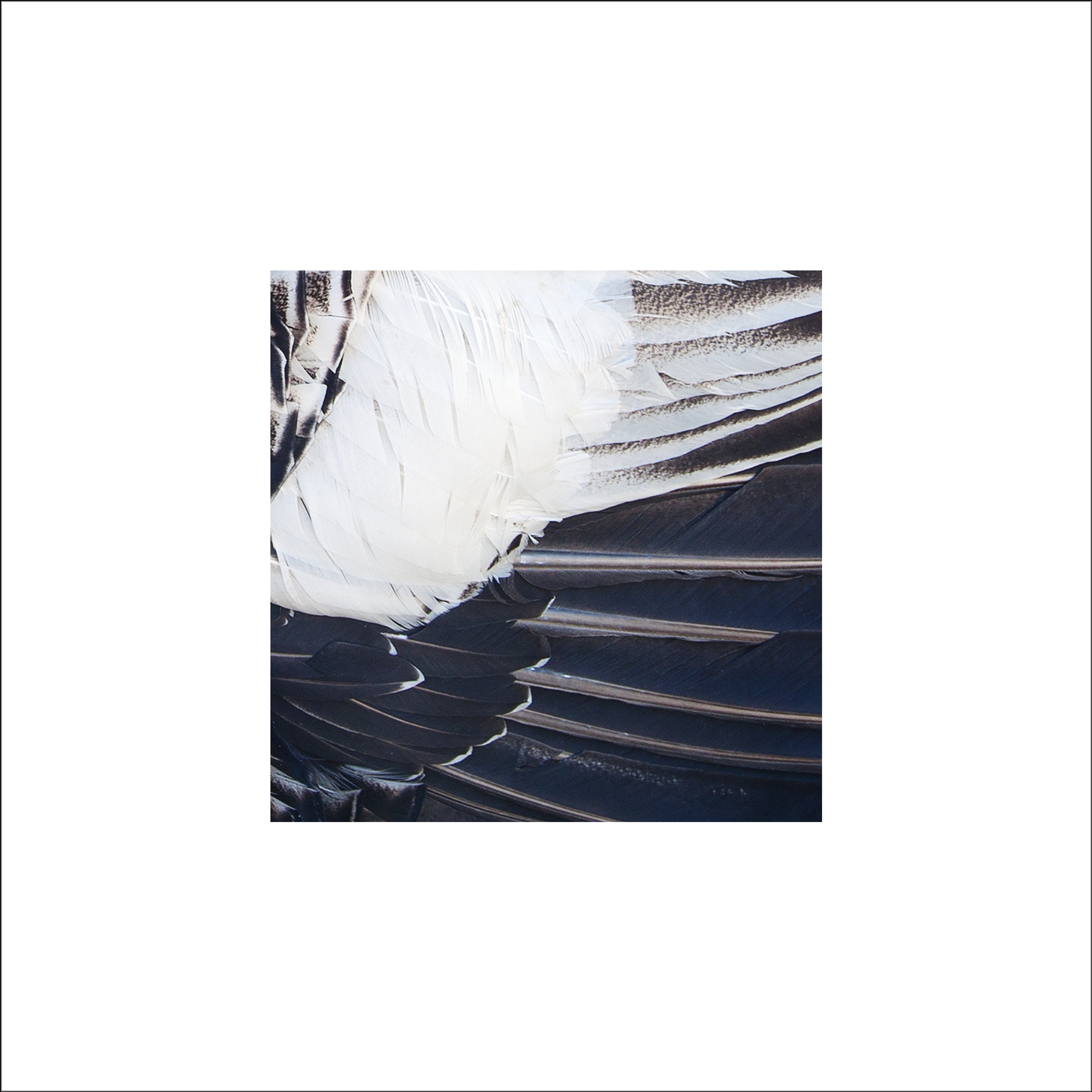 AL03059