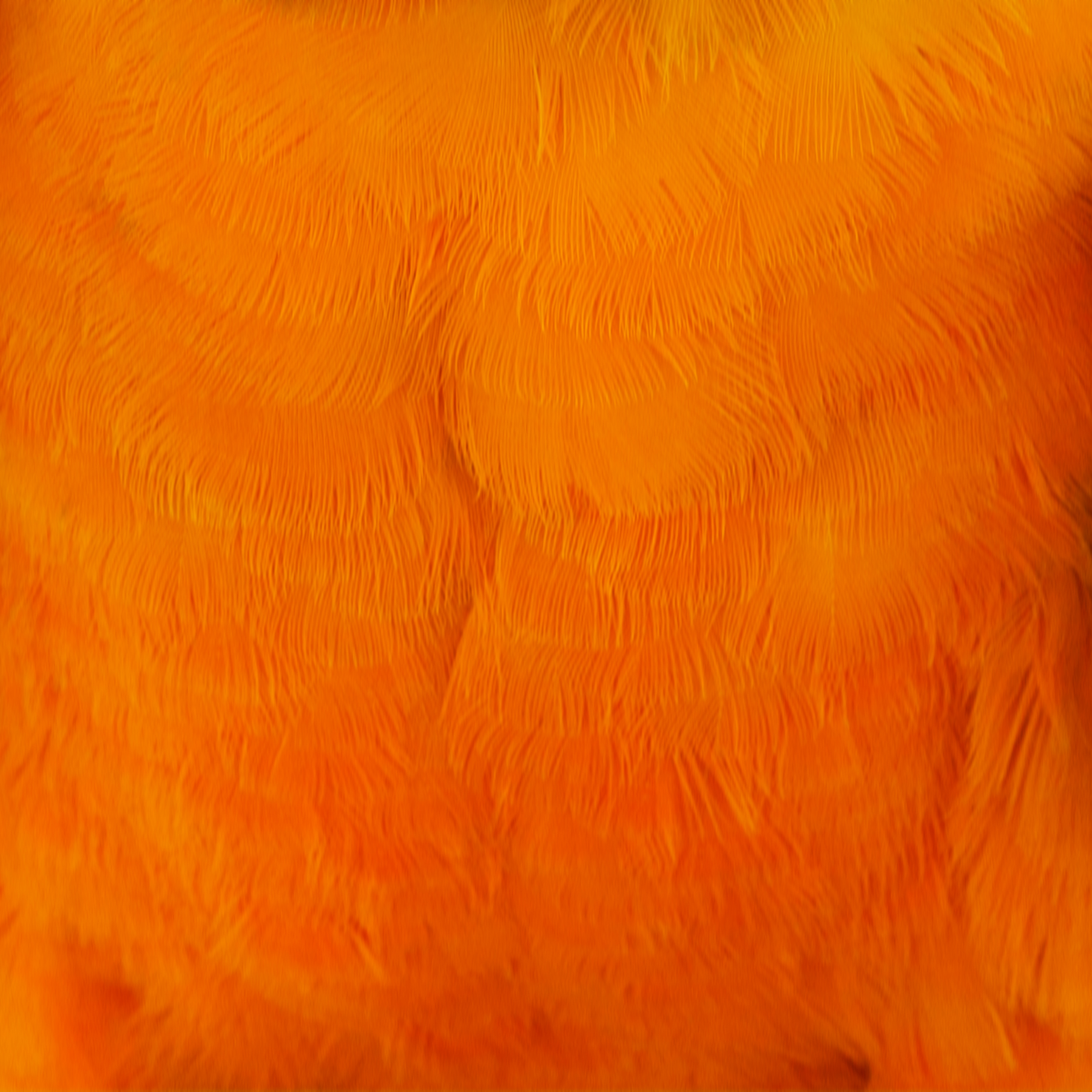 AL03066