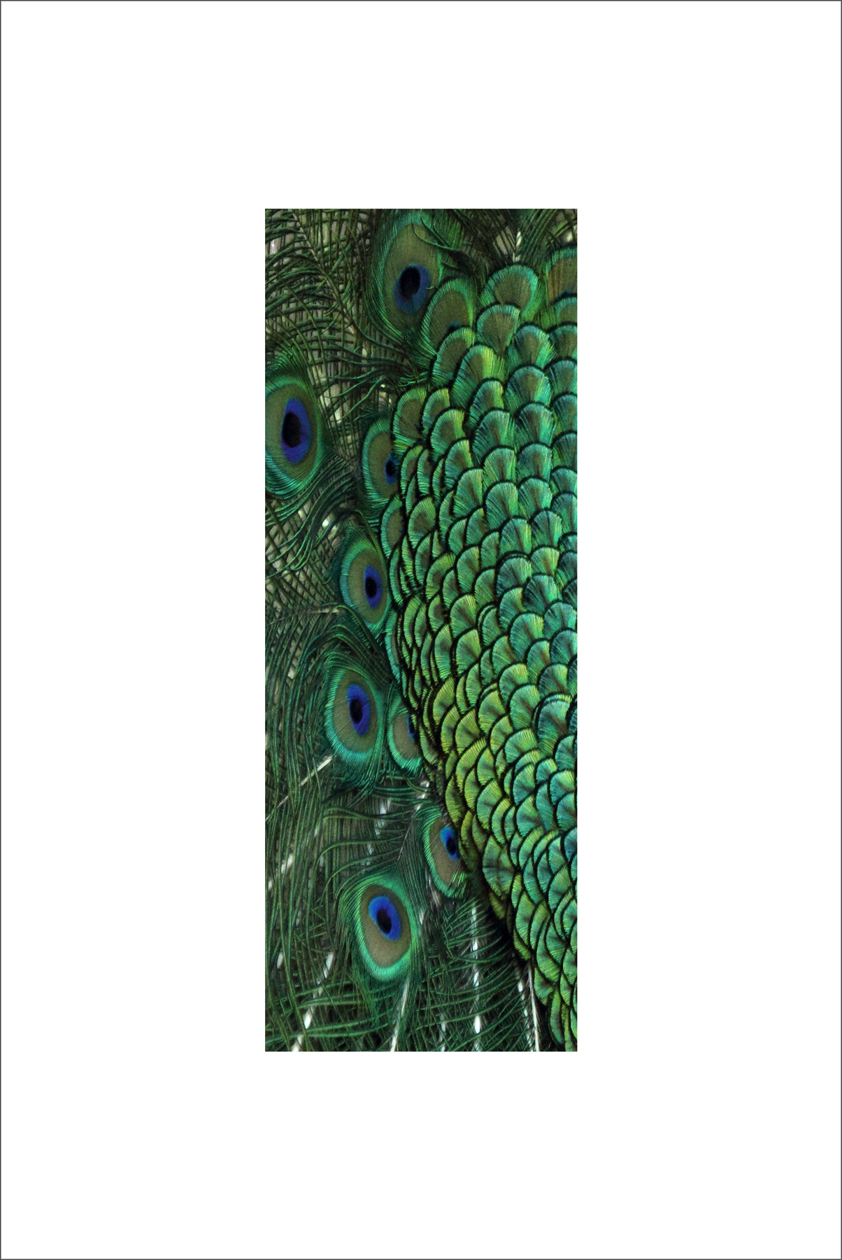 AL03072L