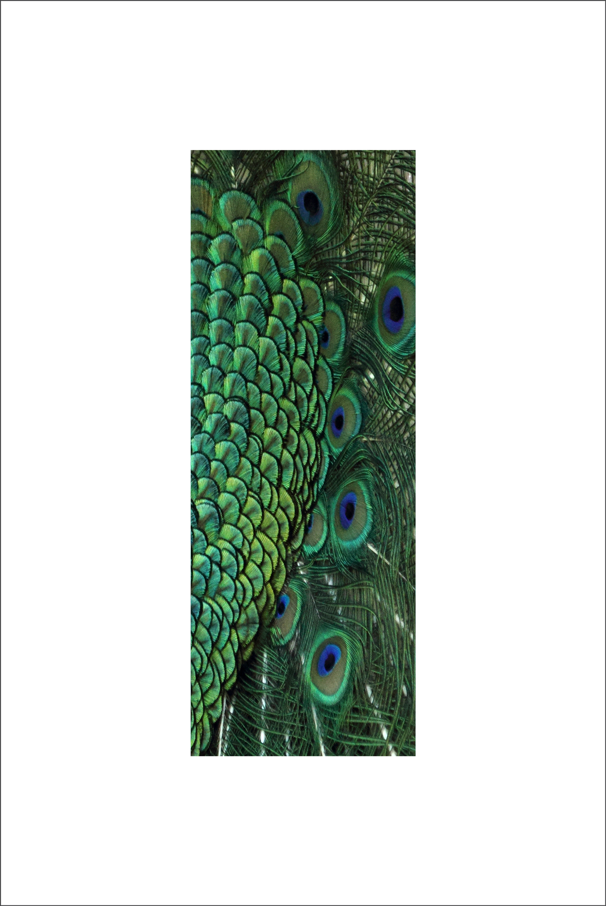 AL03072R