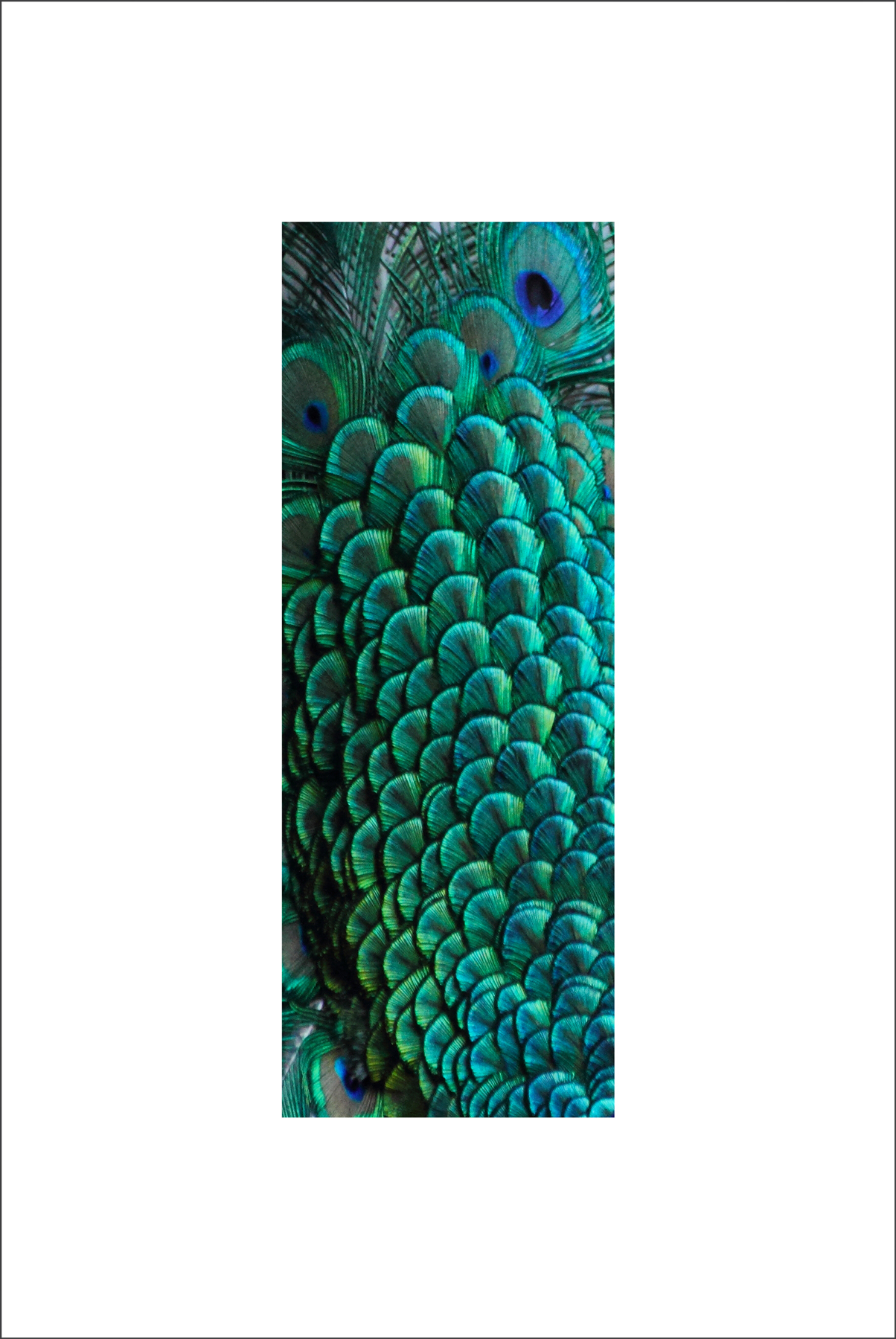 AL03073