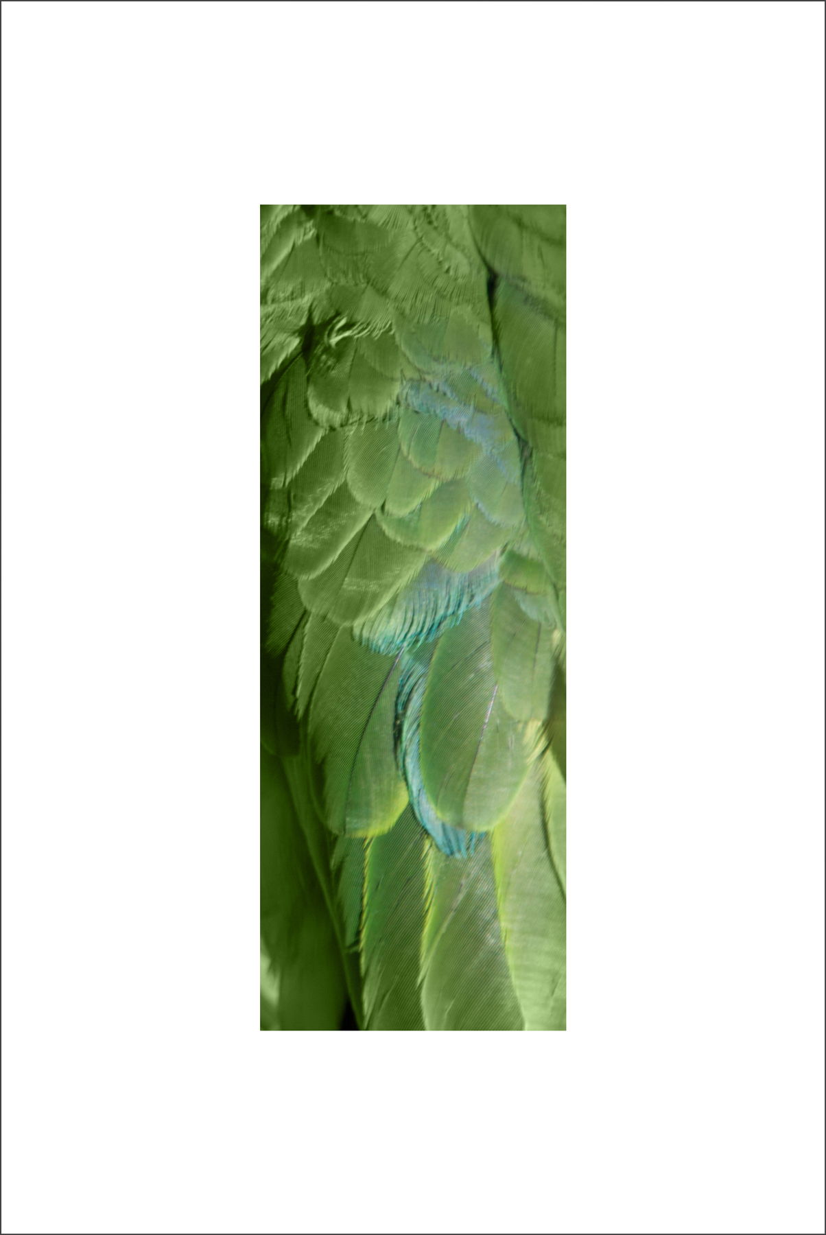 AL03074