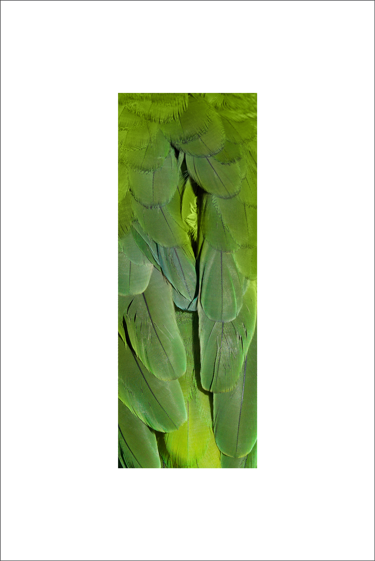 AL03075