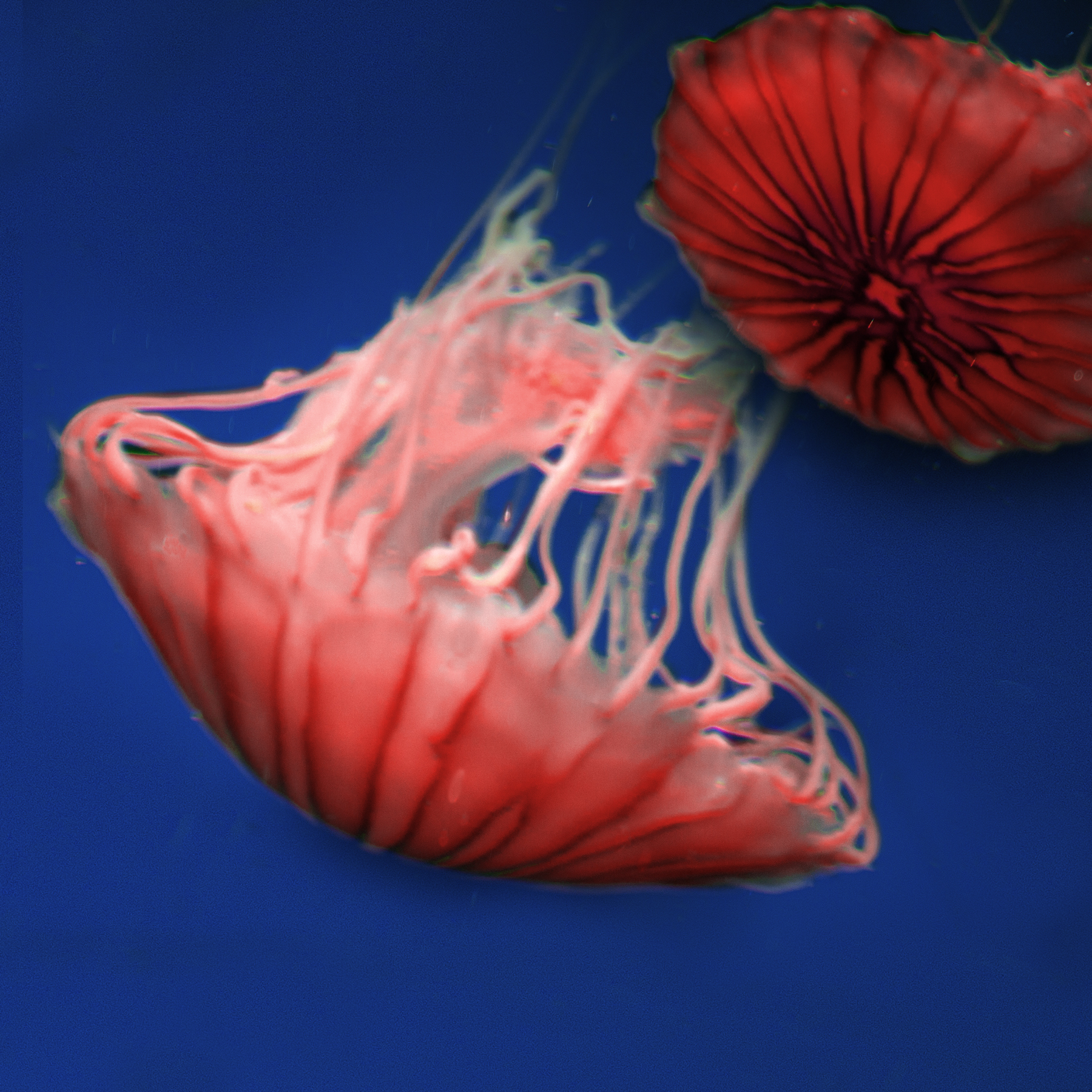 AL03190